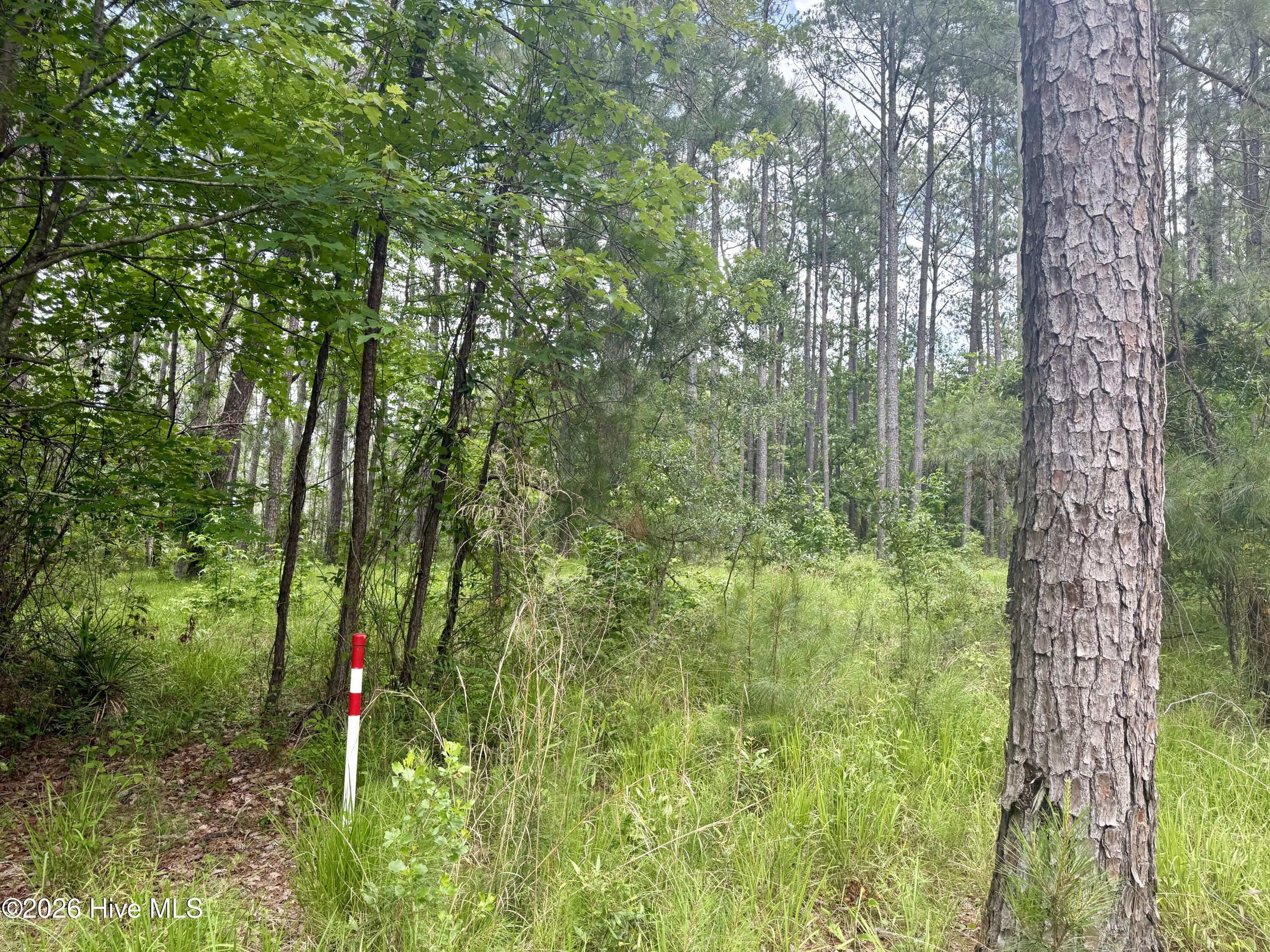 558 Sandy Point 