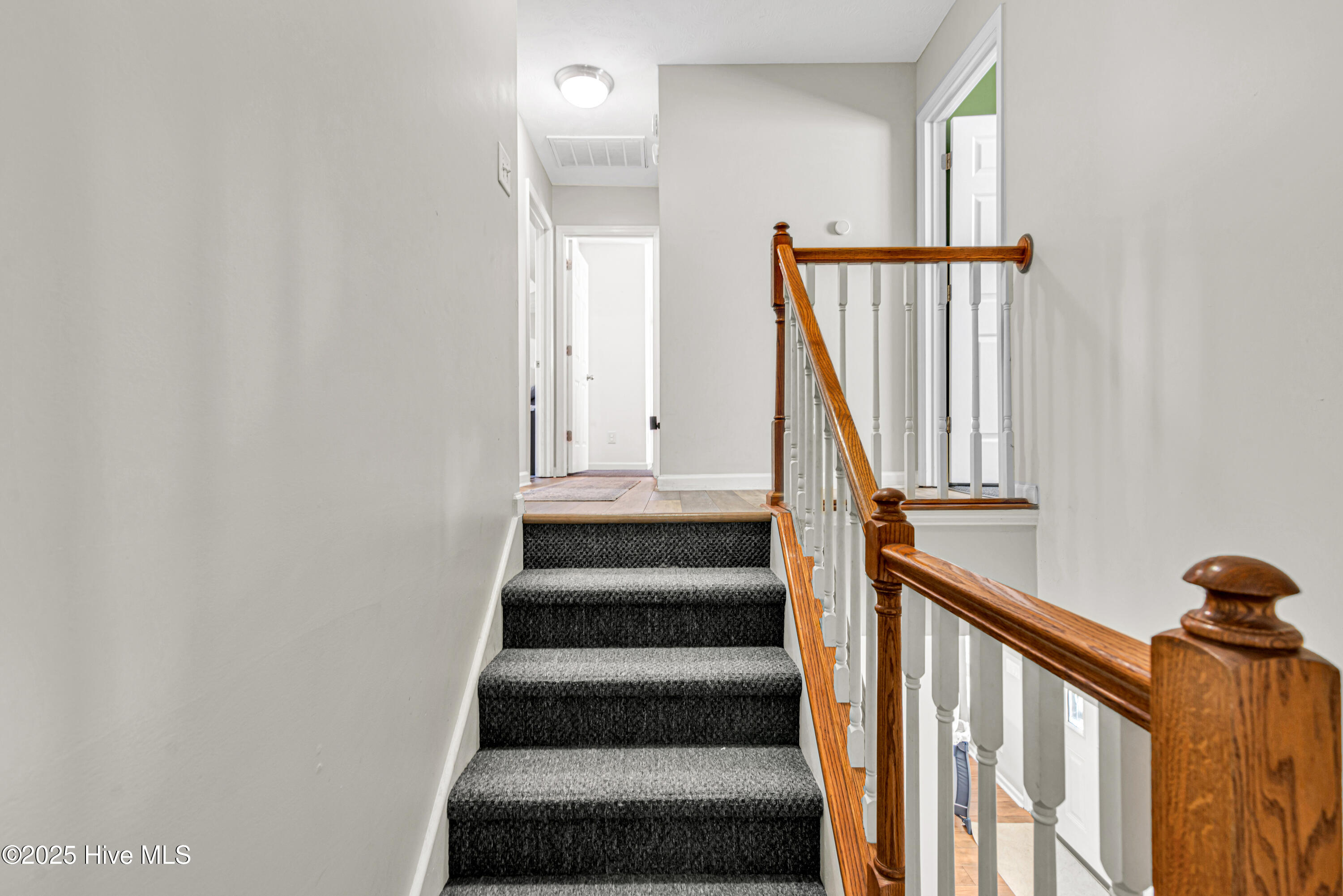 302 Honey Court W, Jacksonville, NC 28540 – photo 24: DSC_4340