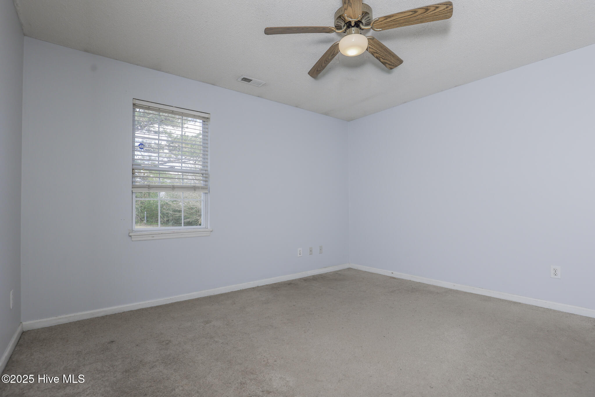 100522542 | Photo 16