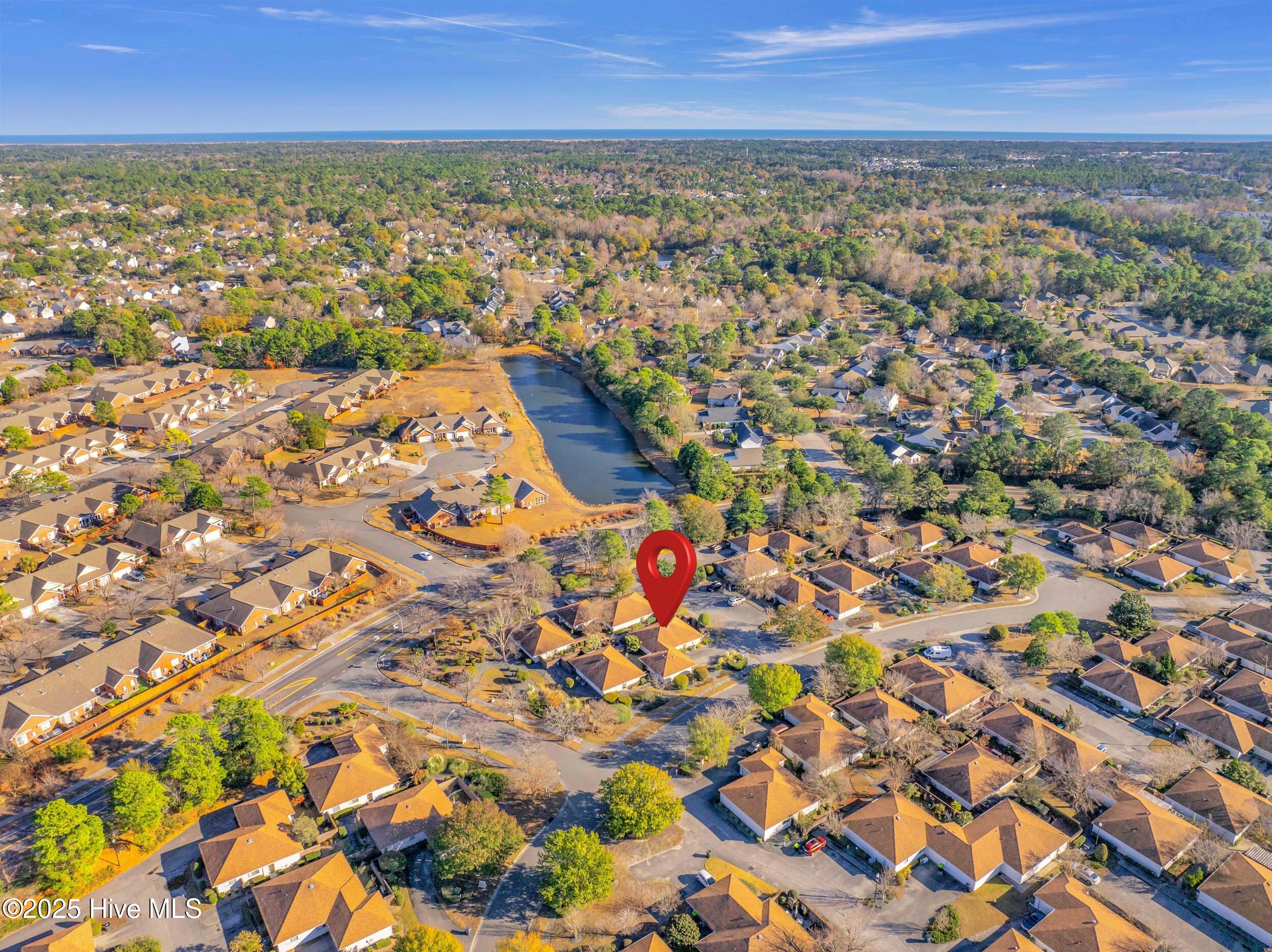 100547235 | Photo 36