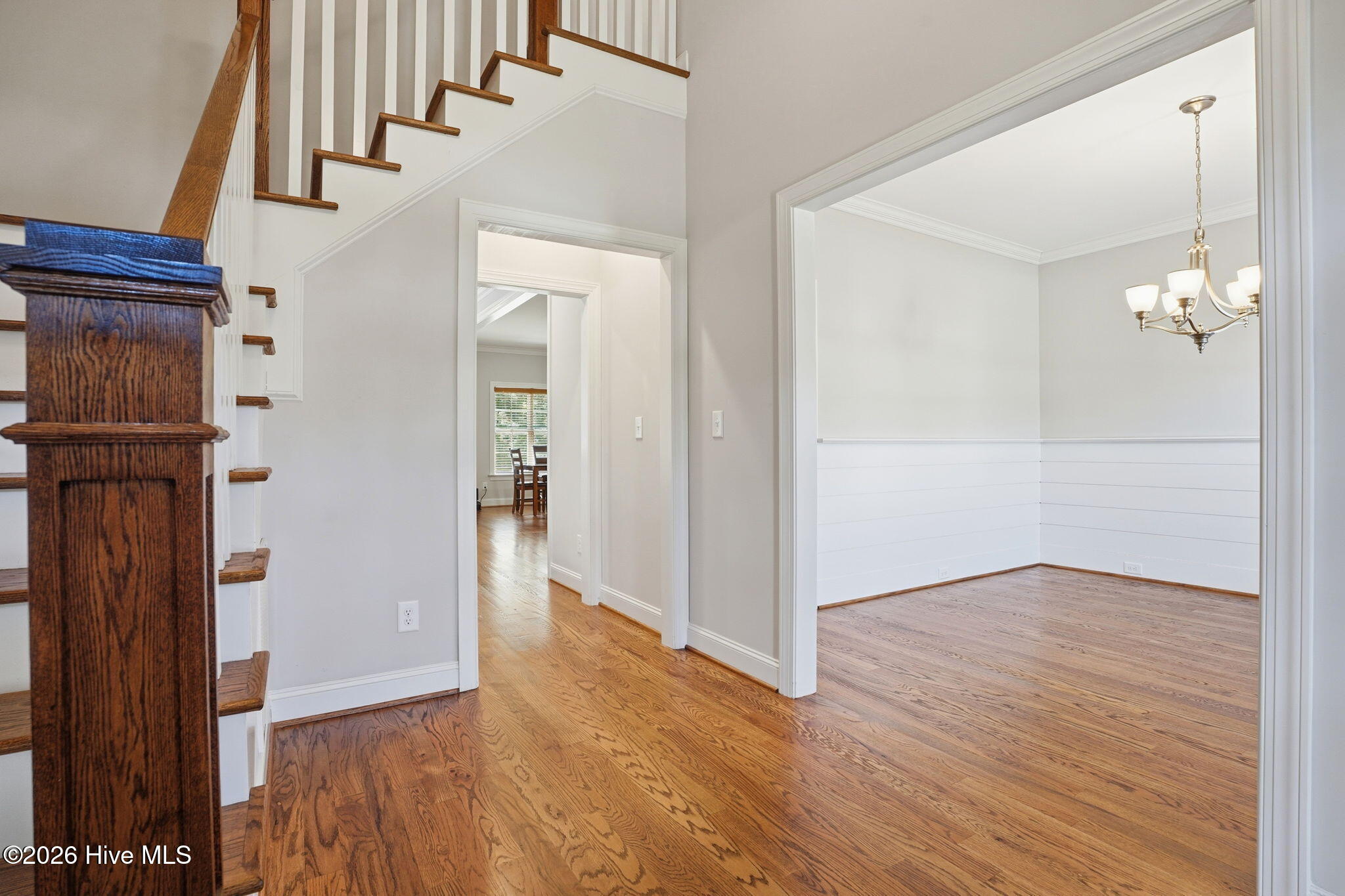 18-web-or-mls-DSC03580