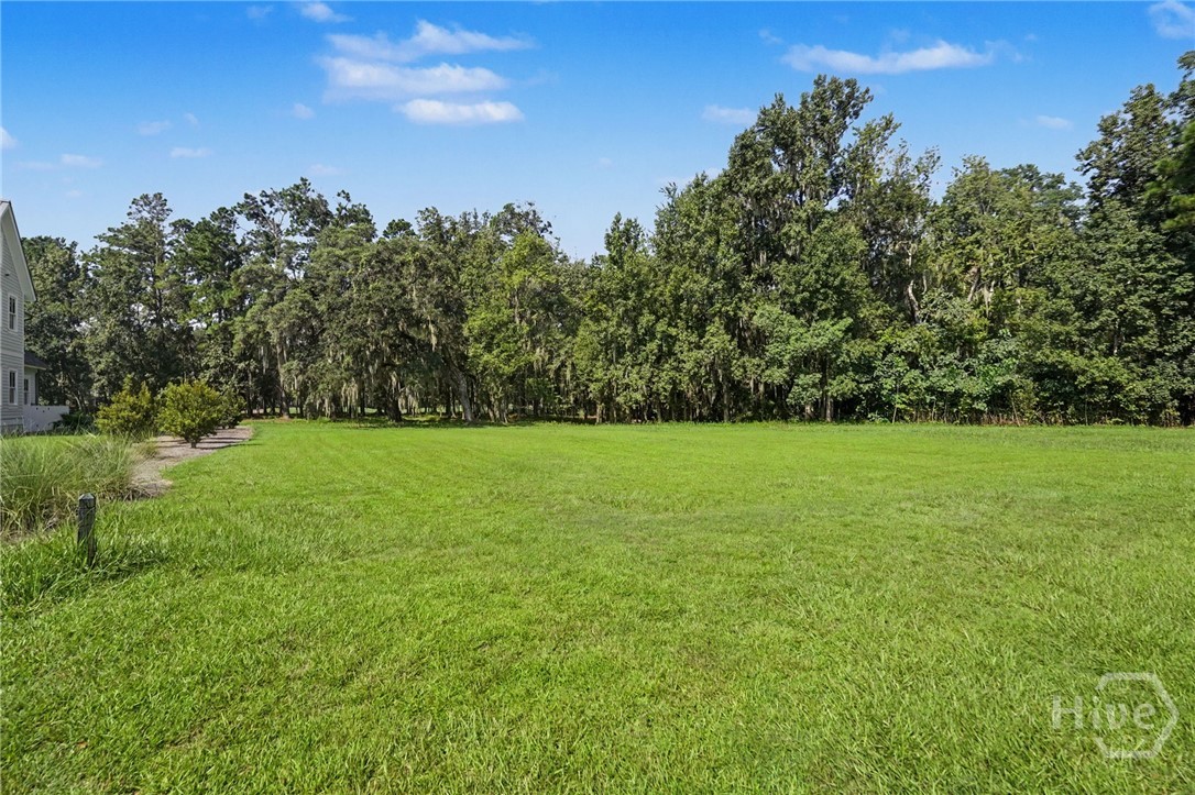 Photo 3 of Land for sale at 245 Little Lulu Ln, Richmond Hill, GA 31324 | MLS# SA363140 | Listing updated on 2026-09-18