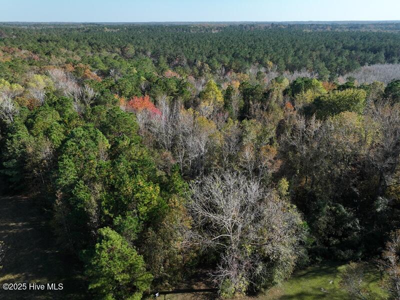 100524405 | Photo 10