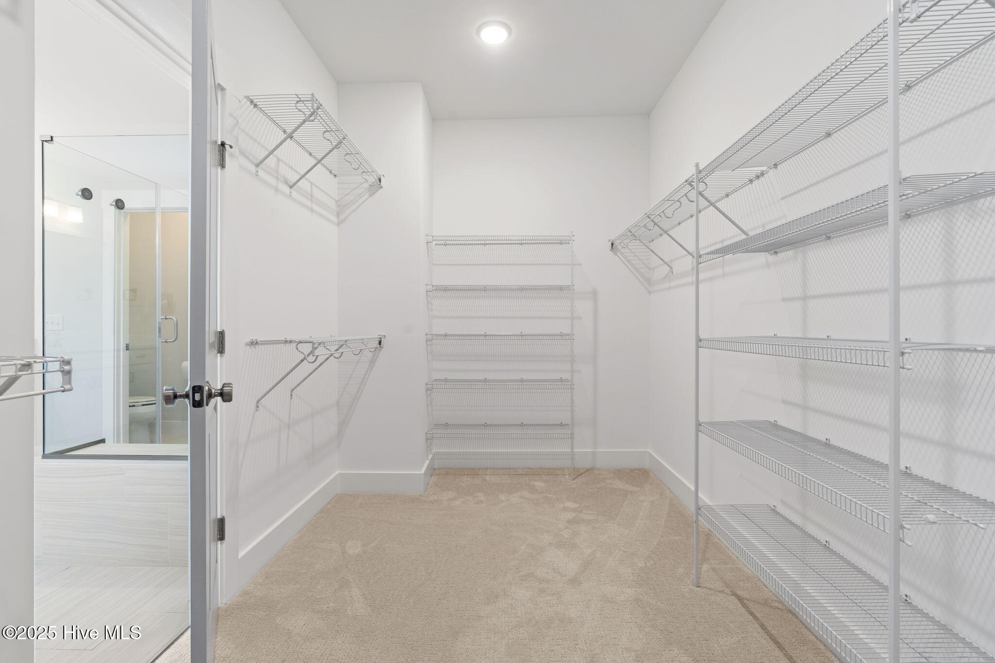 100485304 | Photo 29