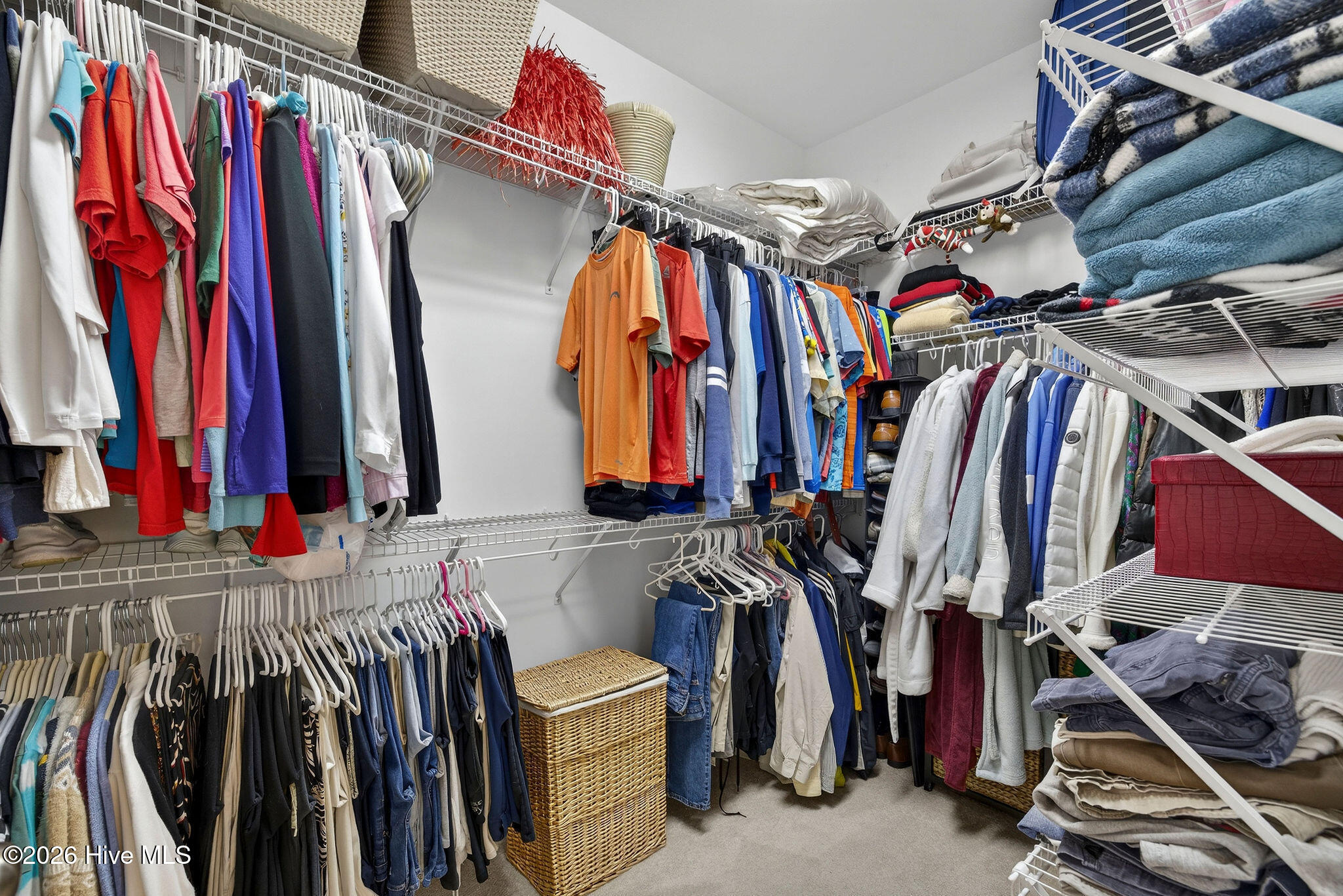 100557574 | Photo 30