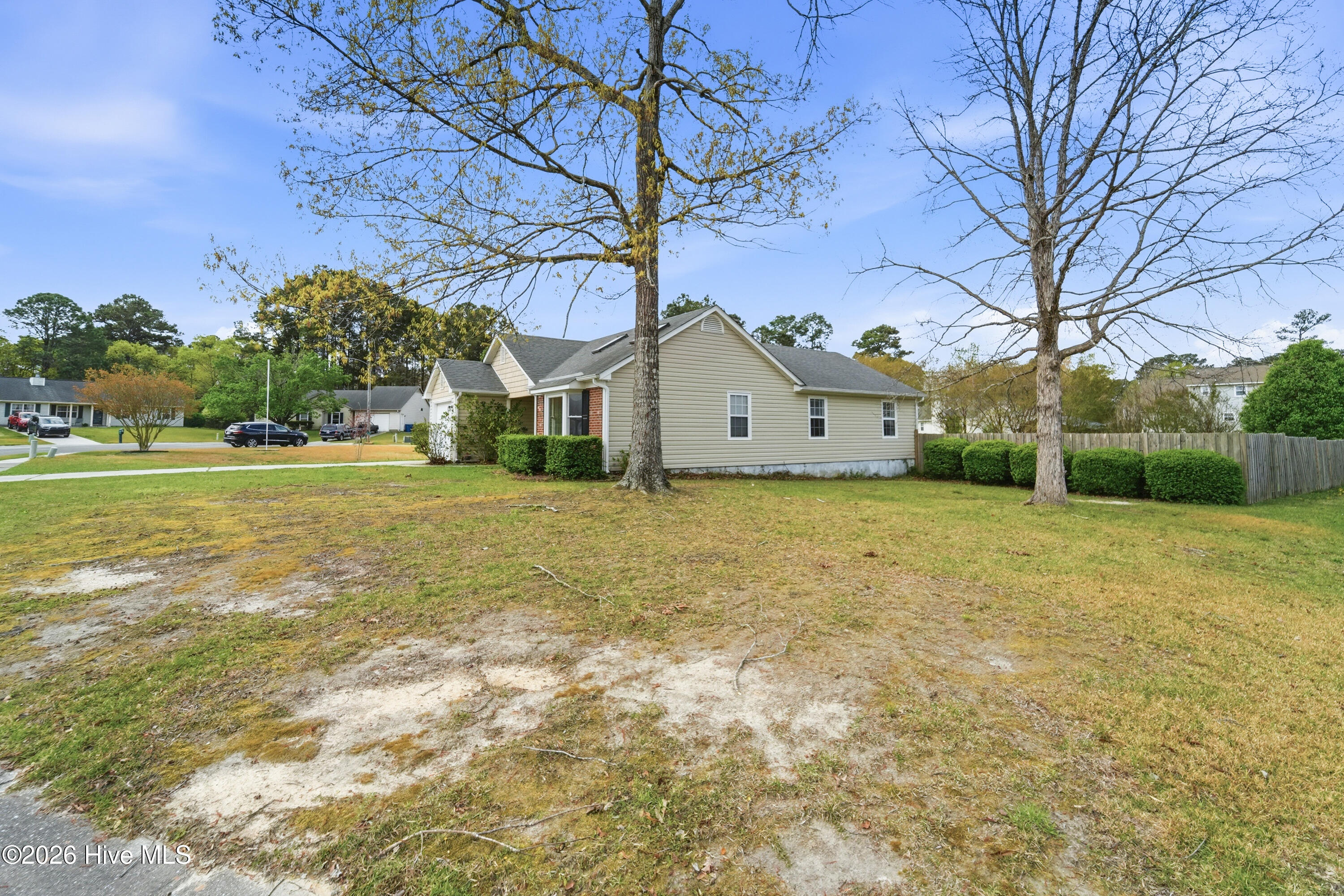 100559067 | Photo 13