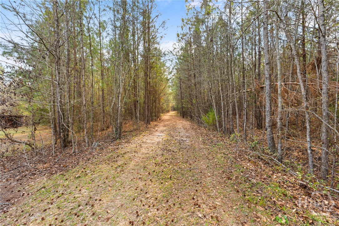 3127 Buttermilk, Sylvania, GA, 30467