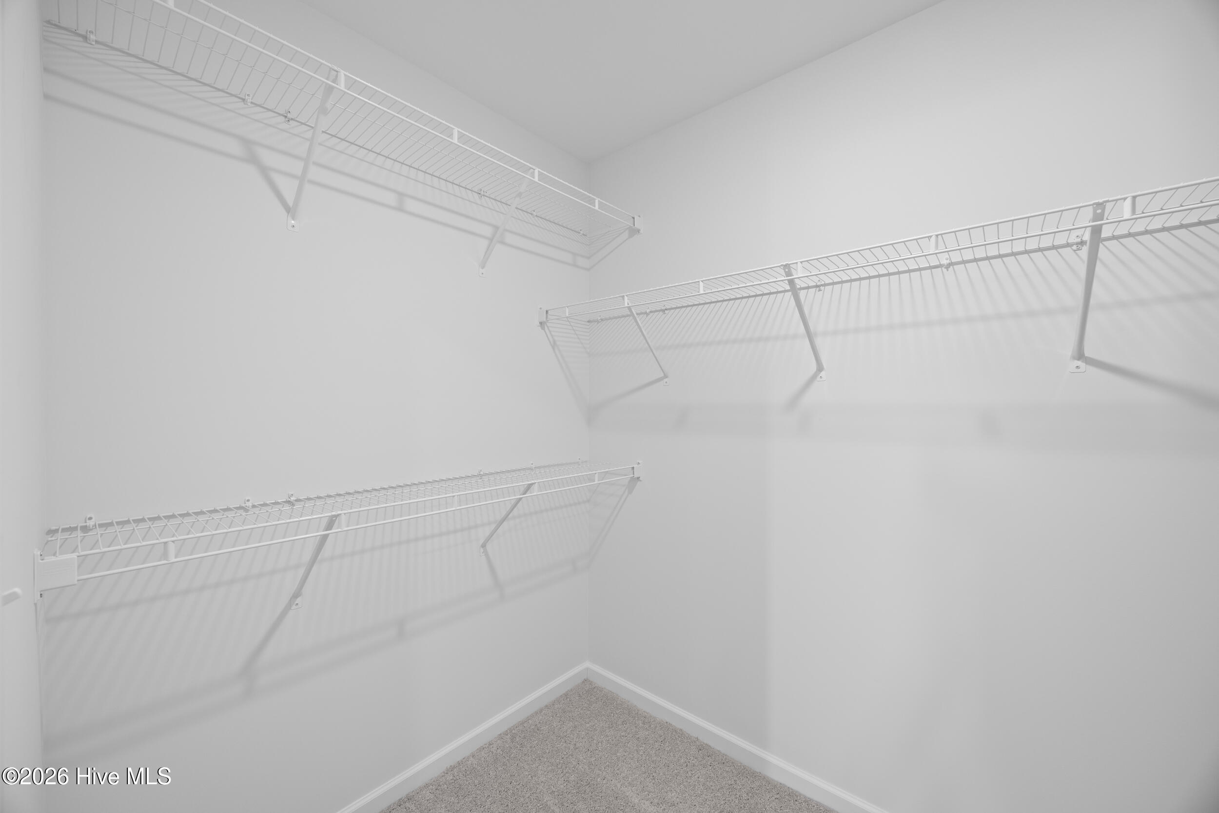 100549788 | Photo 31