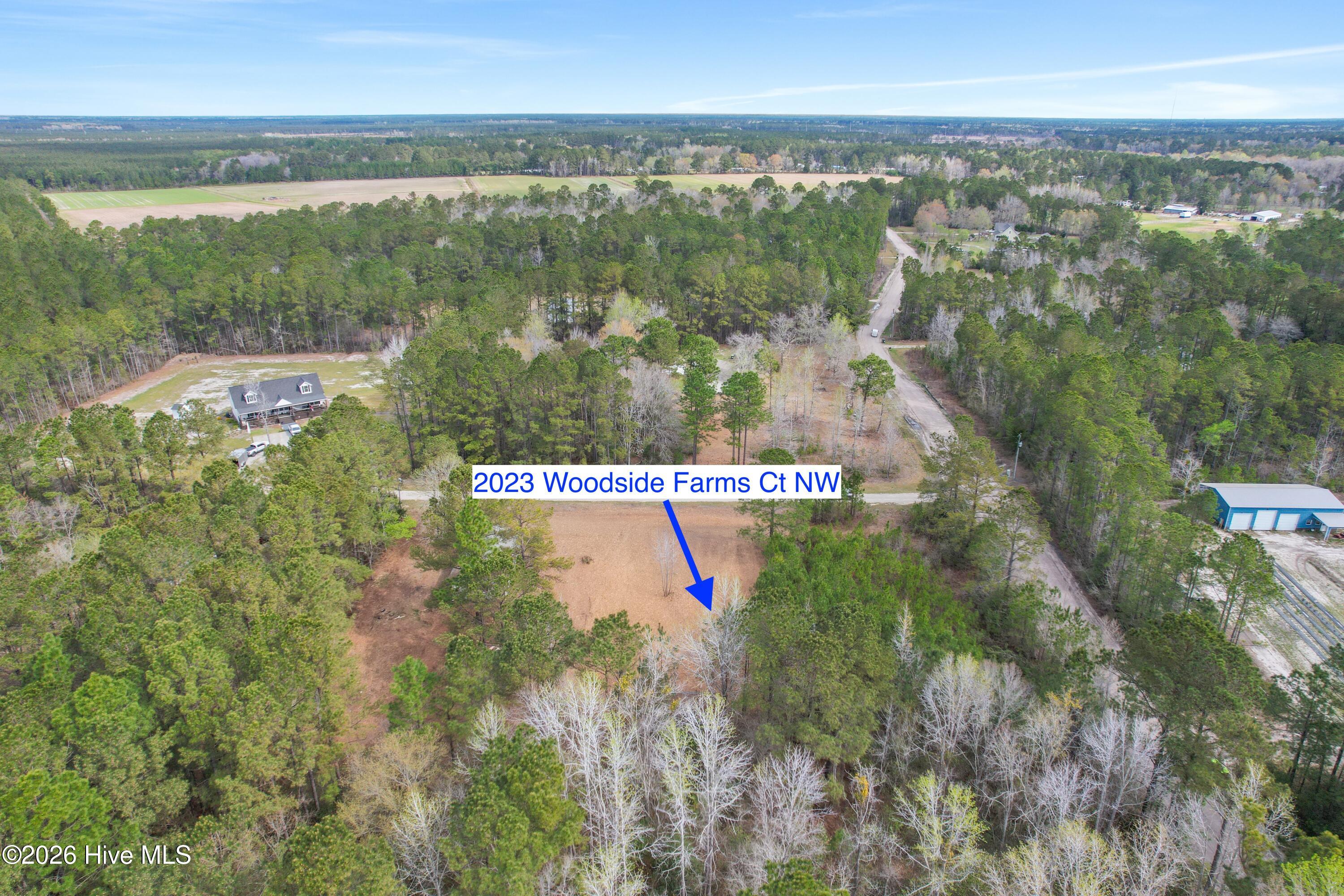 100563116 | Photo 14