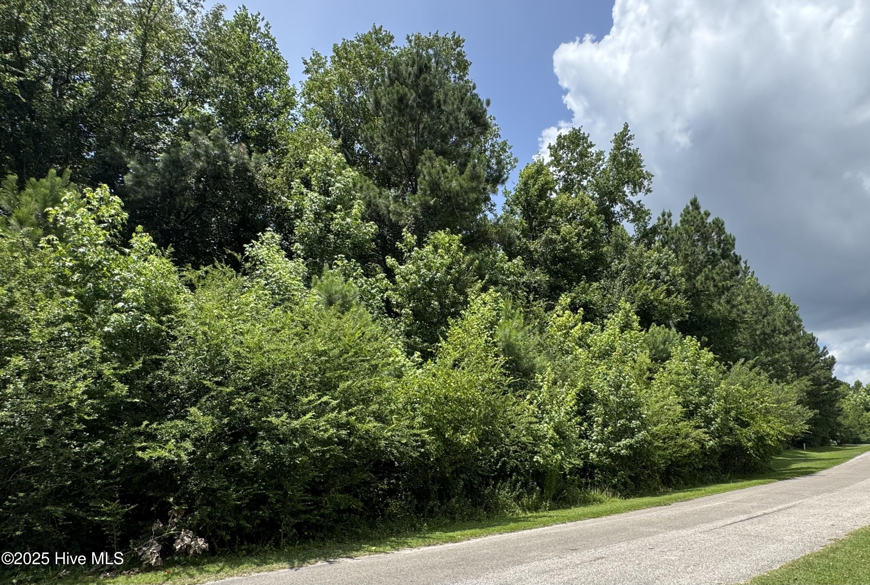 Homes for sale in Whiteville, NC | 263 Whites Crossing Ln, Whiteville, NC 28472 | MLS# 100517363