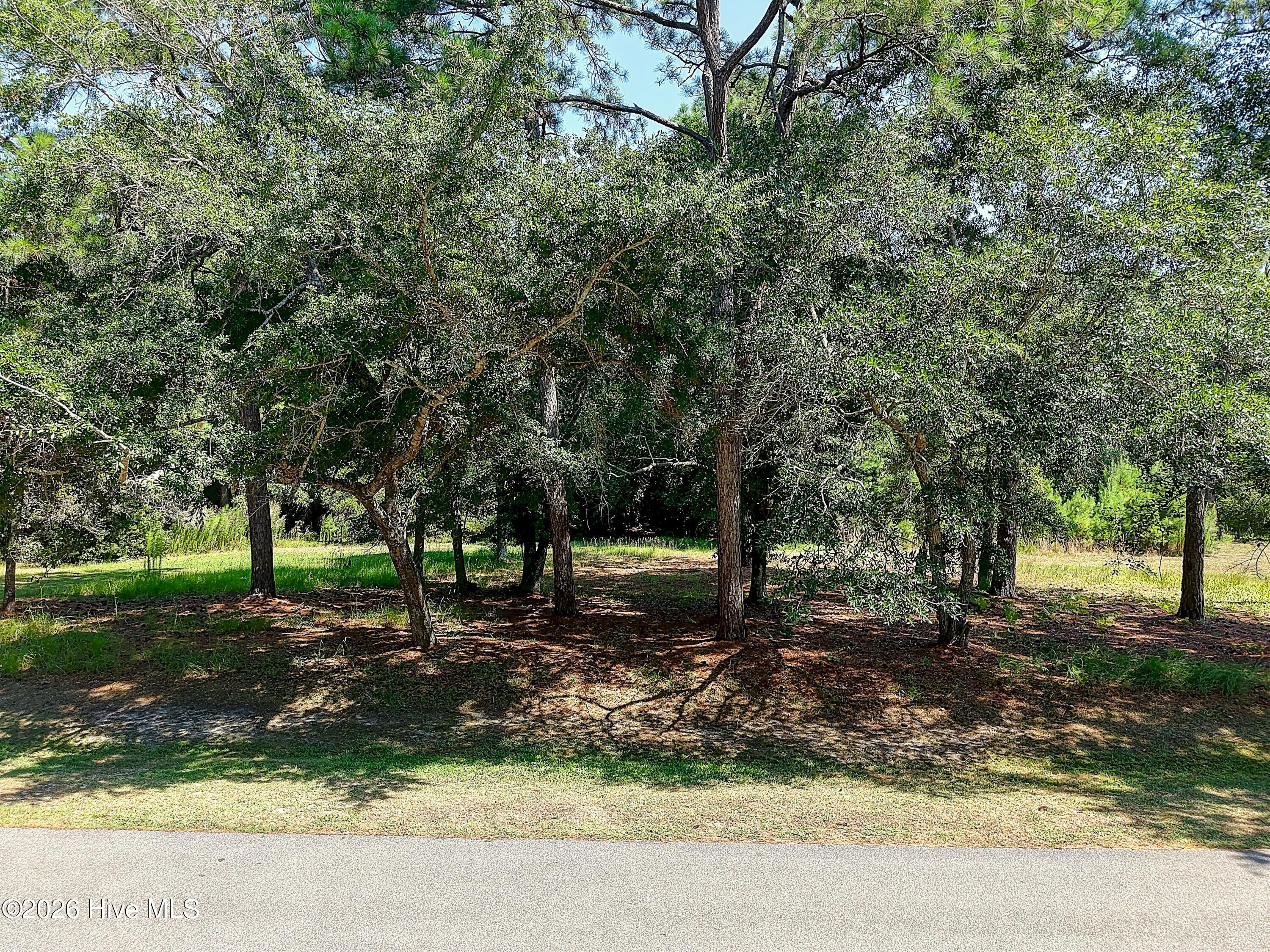 100588472 | Photo 2