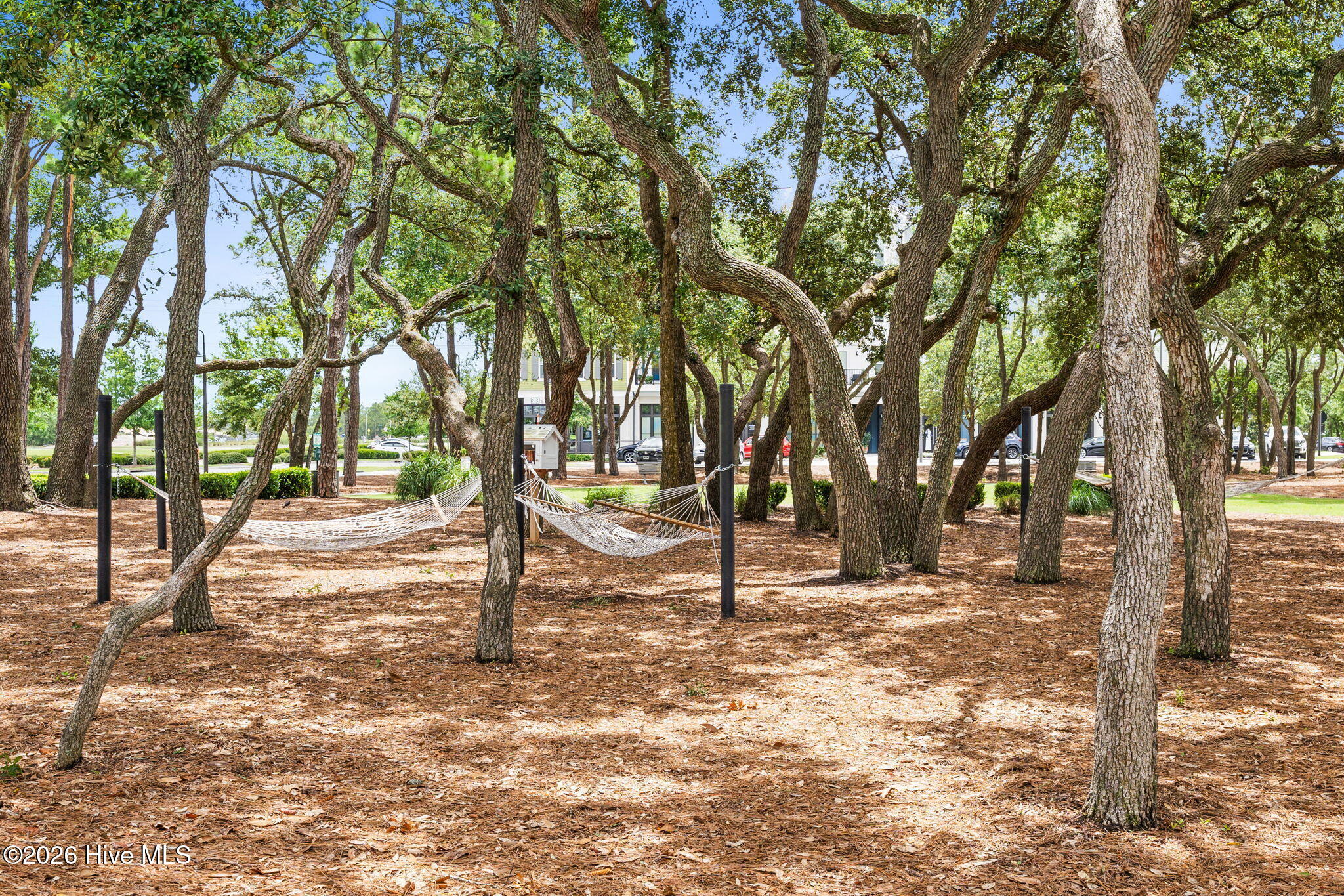 100569048 | Photo 62