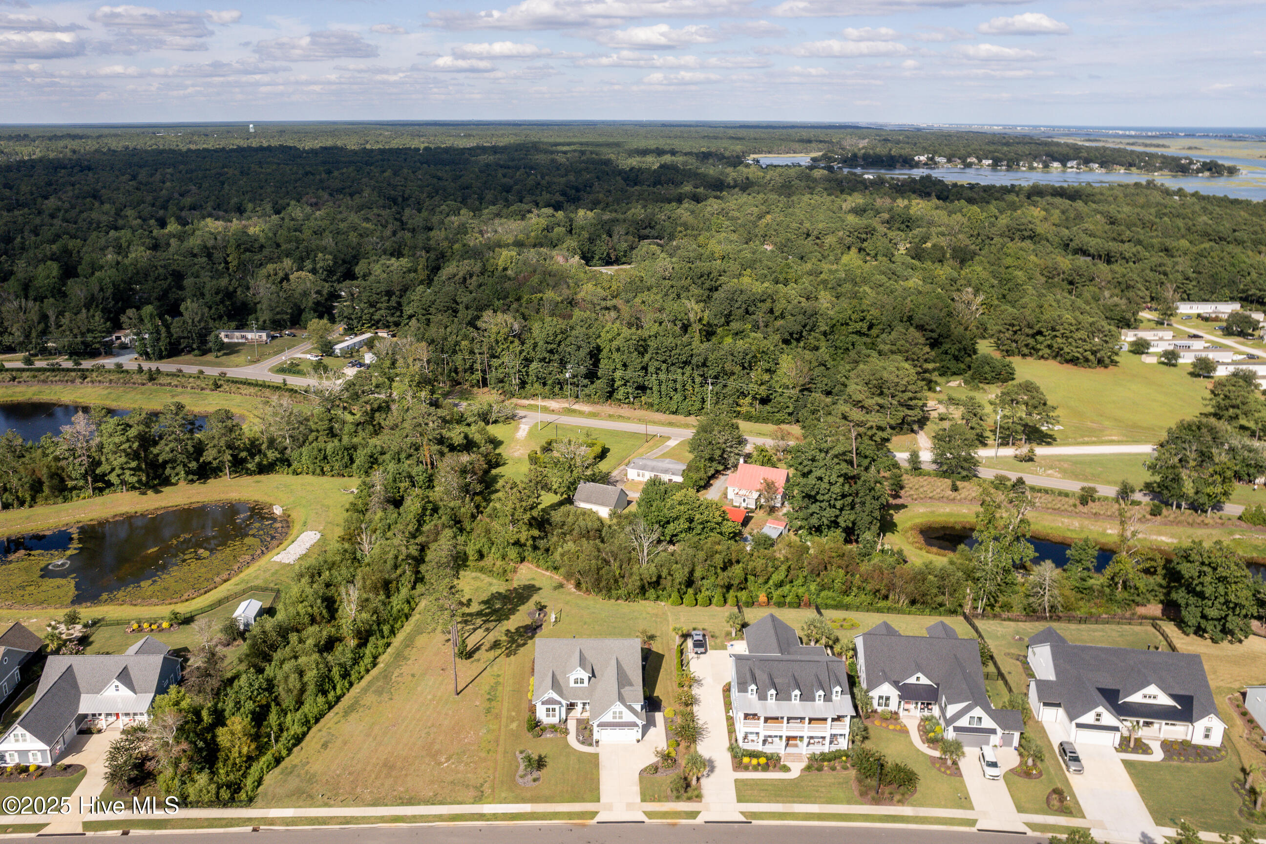 100536190 | Photo 44