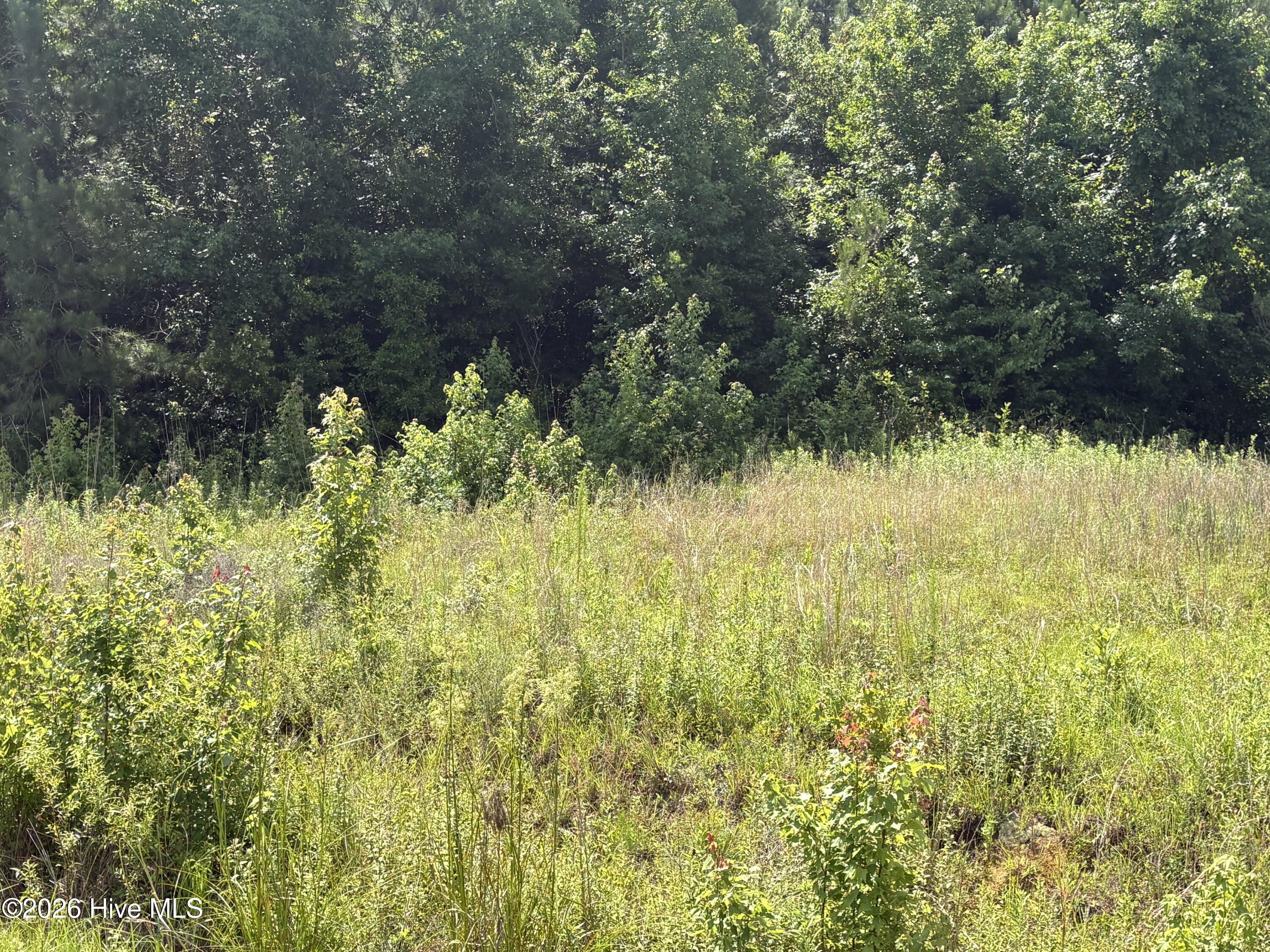 100584508 | Photo 16