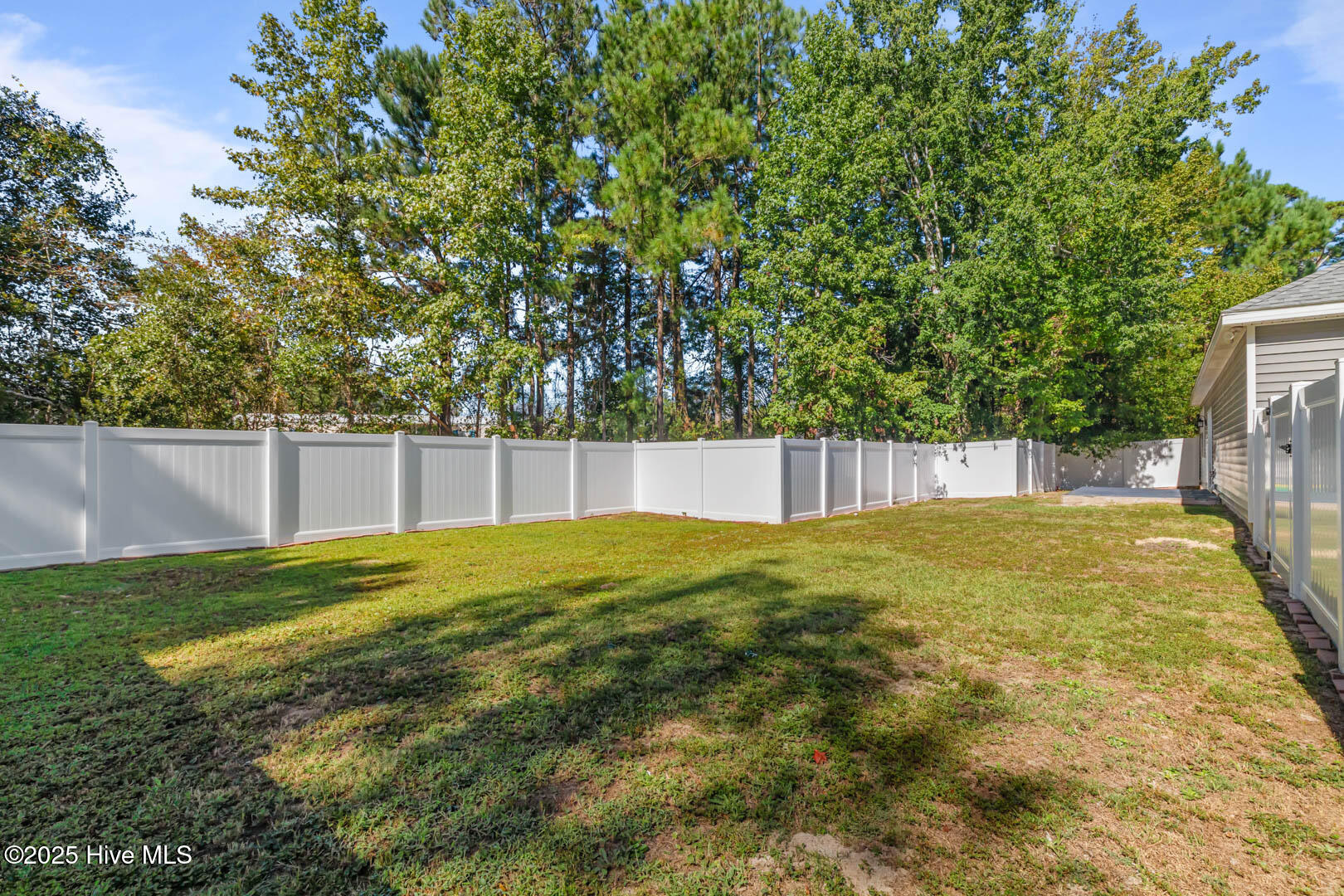 100535399 | Photo 44