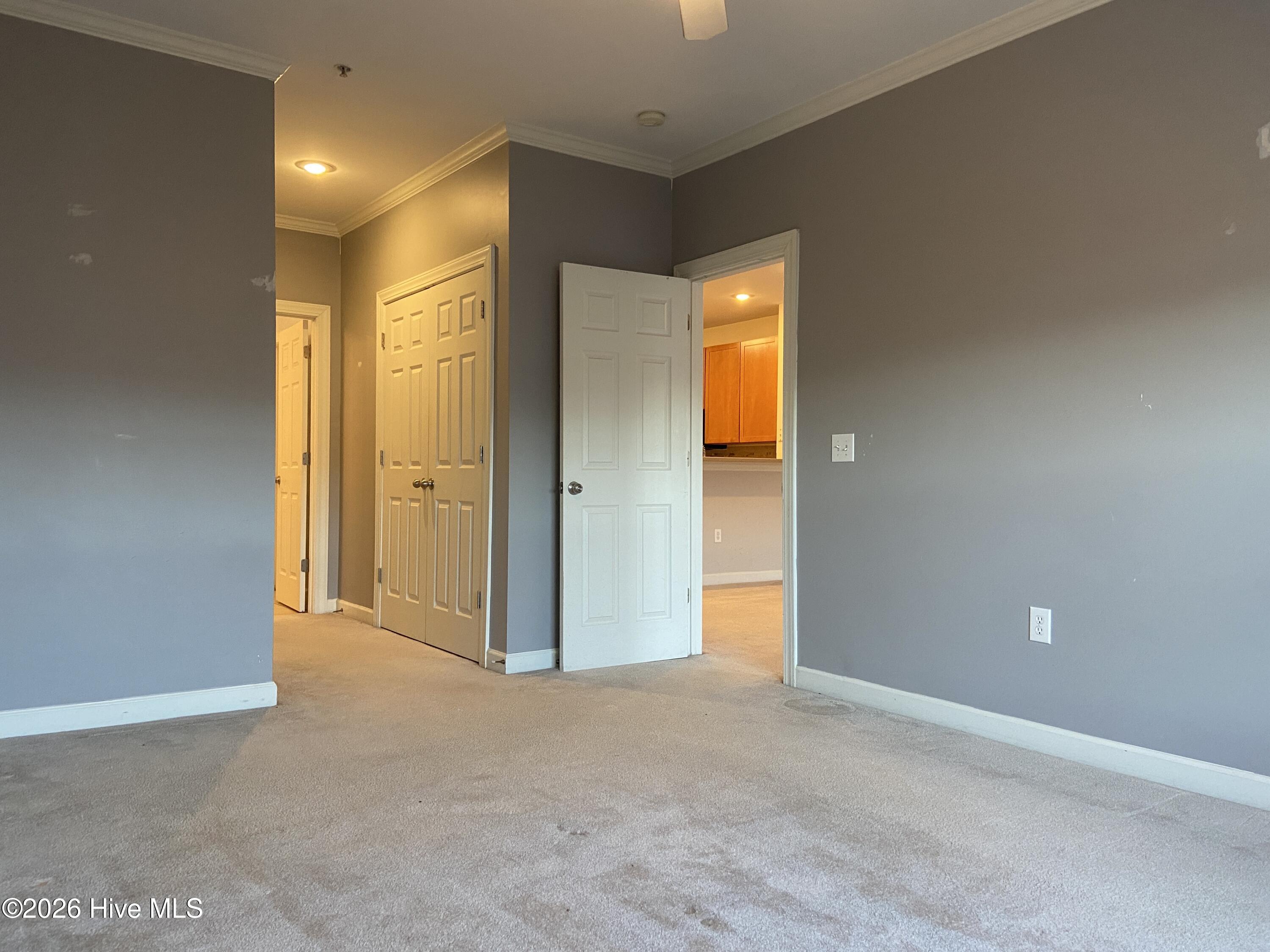 100549389 | Photo 14