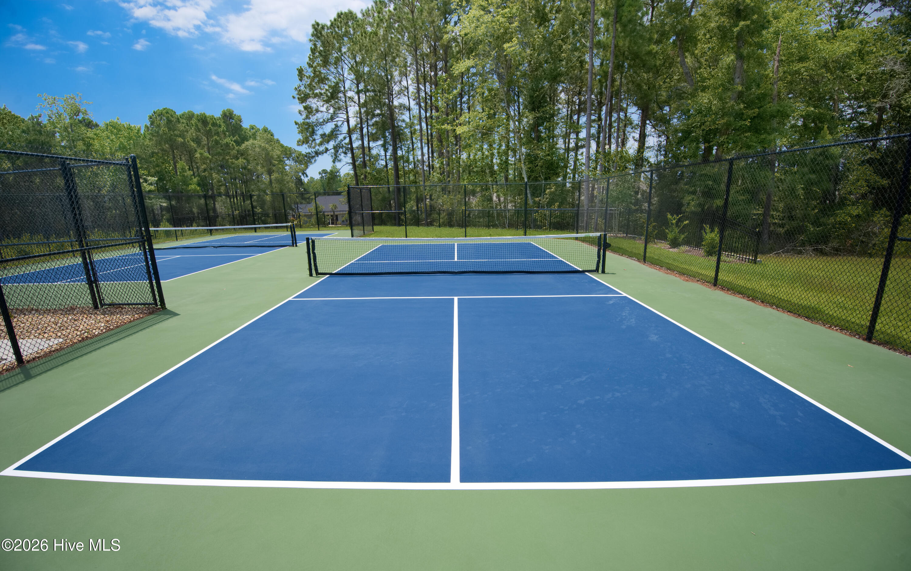 100559386 | Photo 62