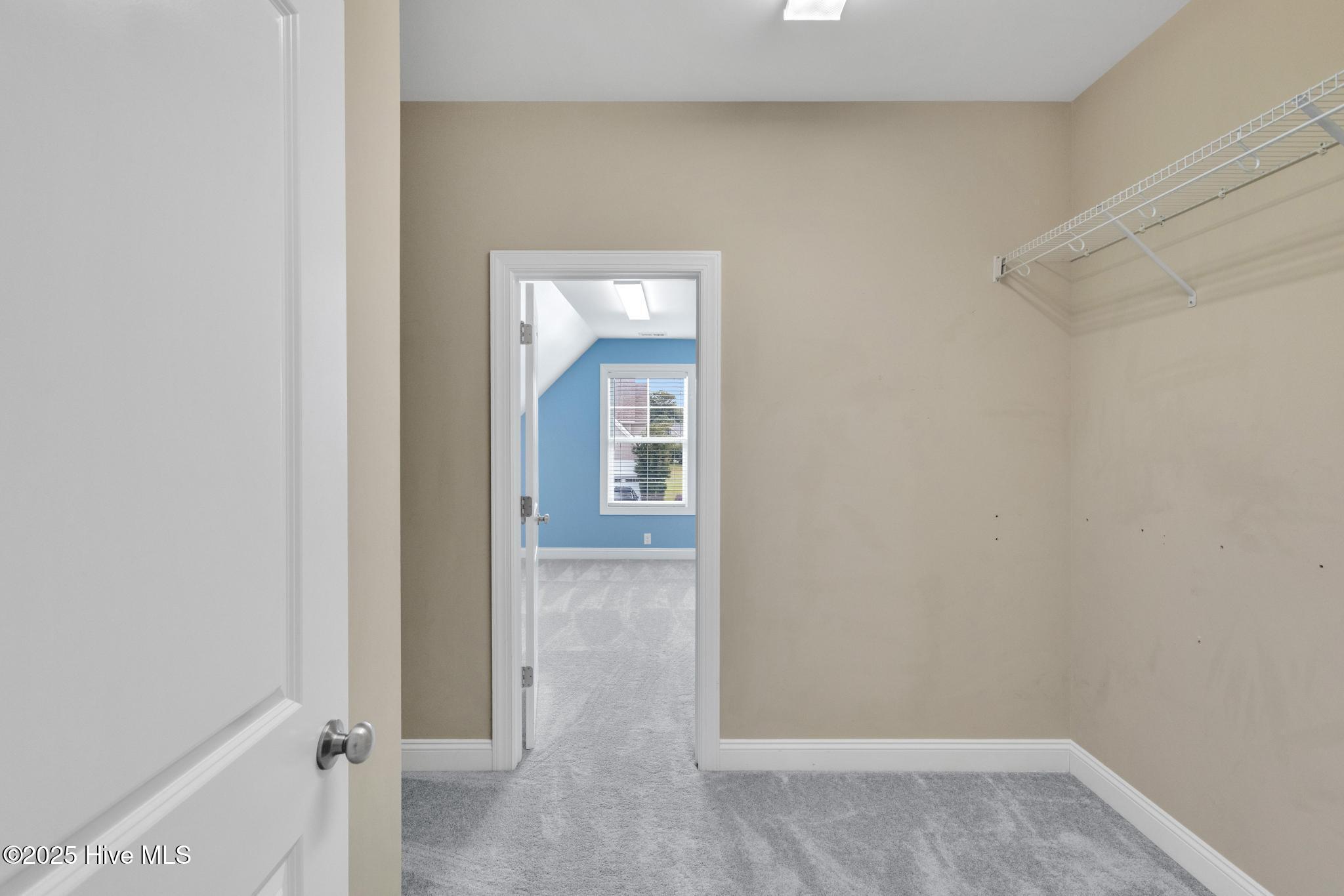 100531239 | Photo 31