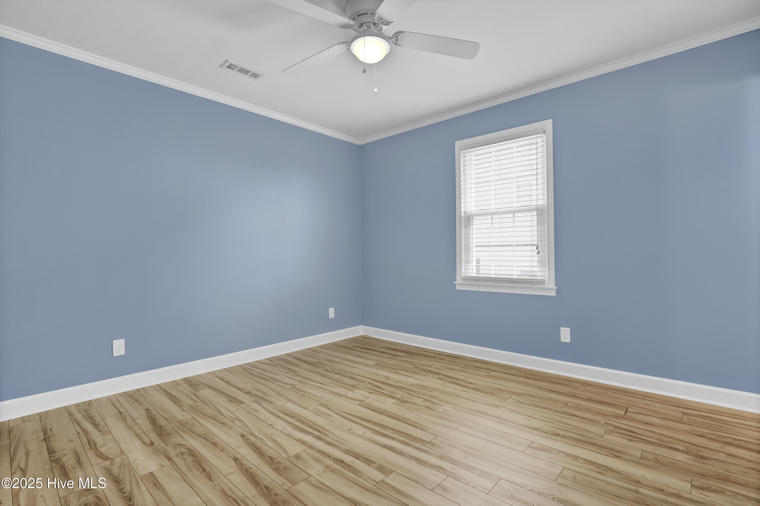 100517491 | Photo 35