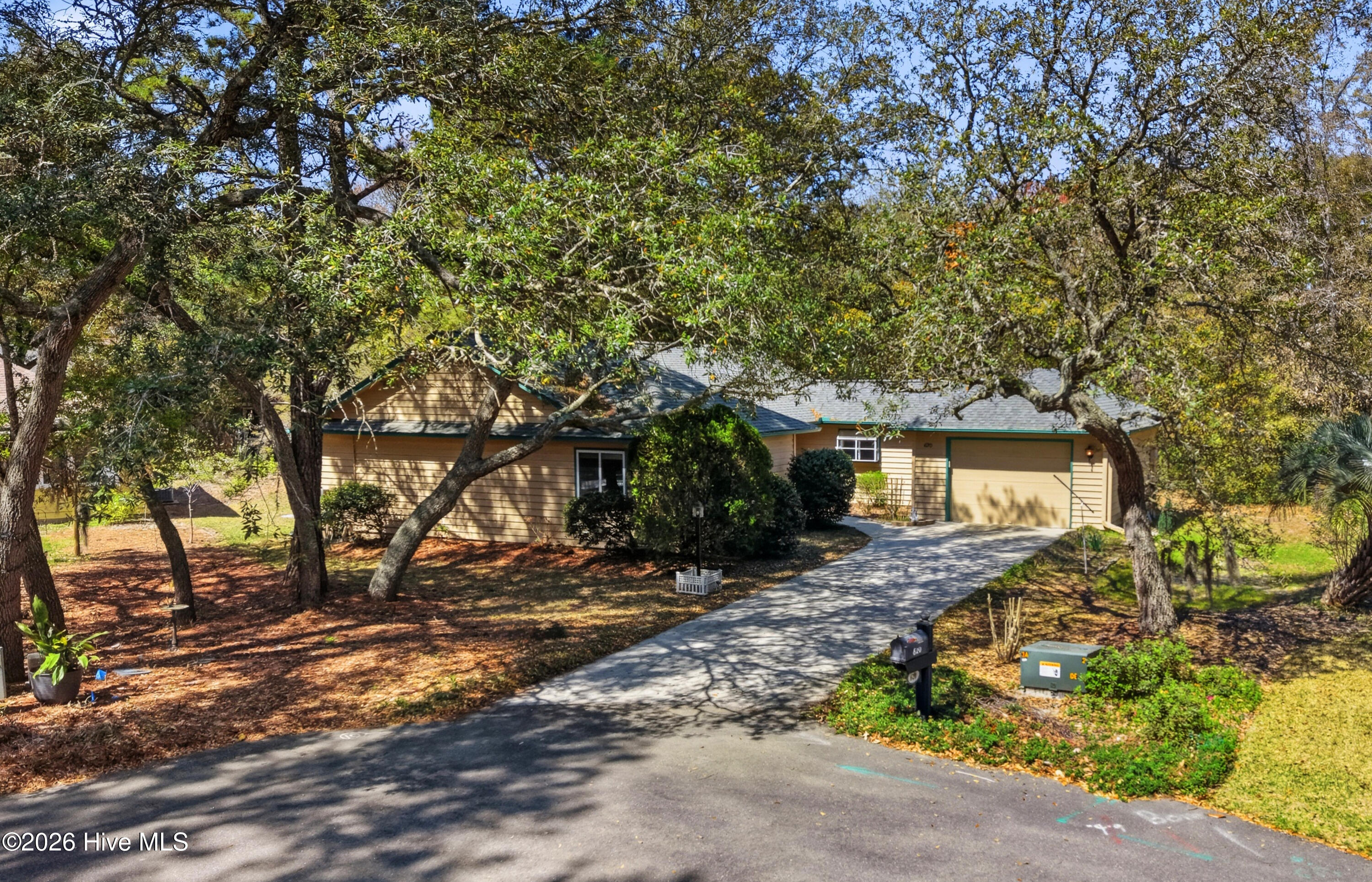 100564154 | Photo 32