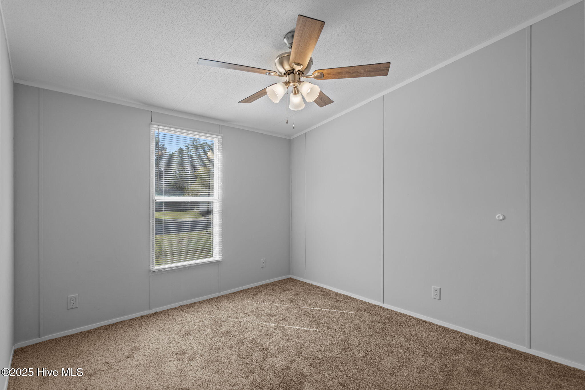 100536867 | Photo 30