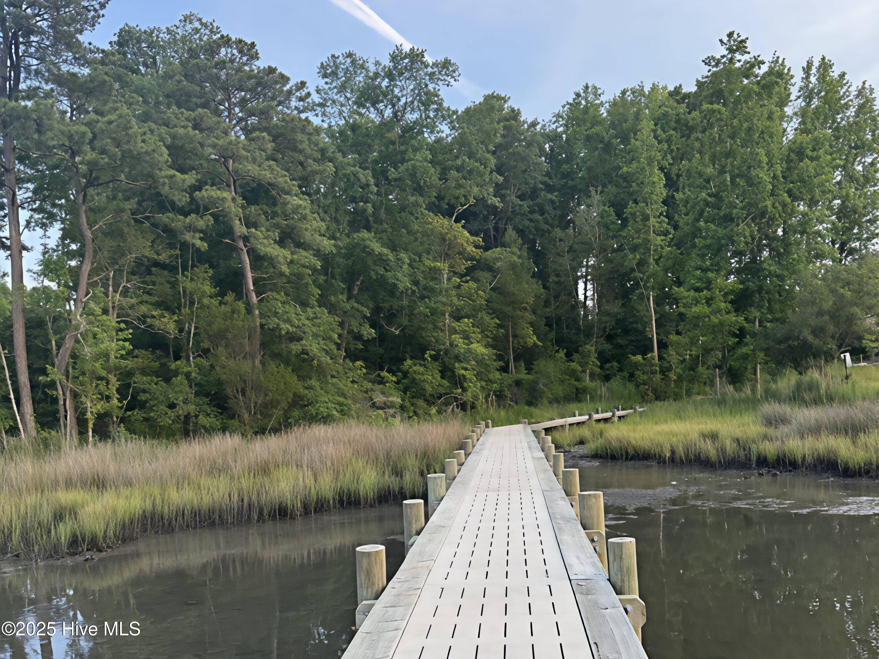 100534691 | Photo 79