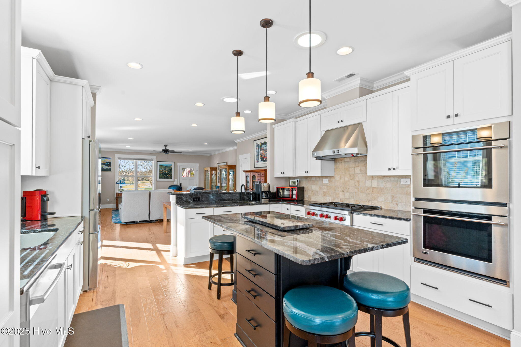 100541992 | Photo 30