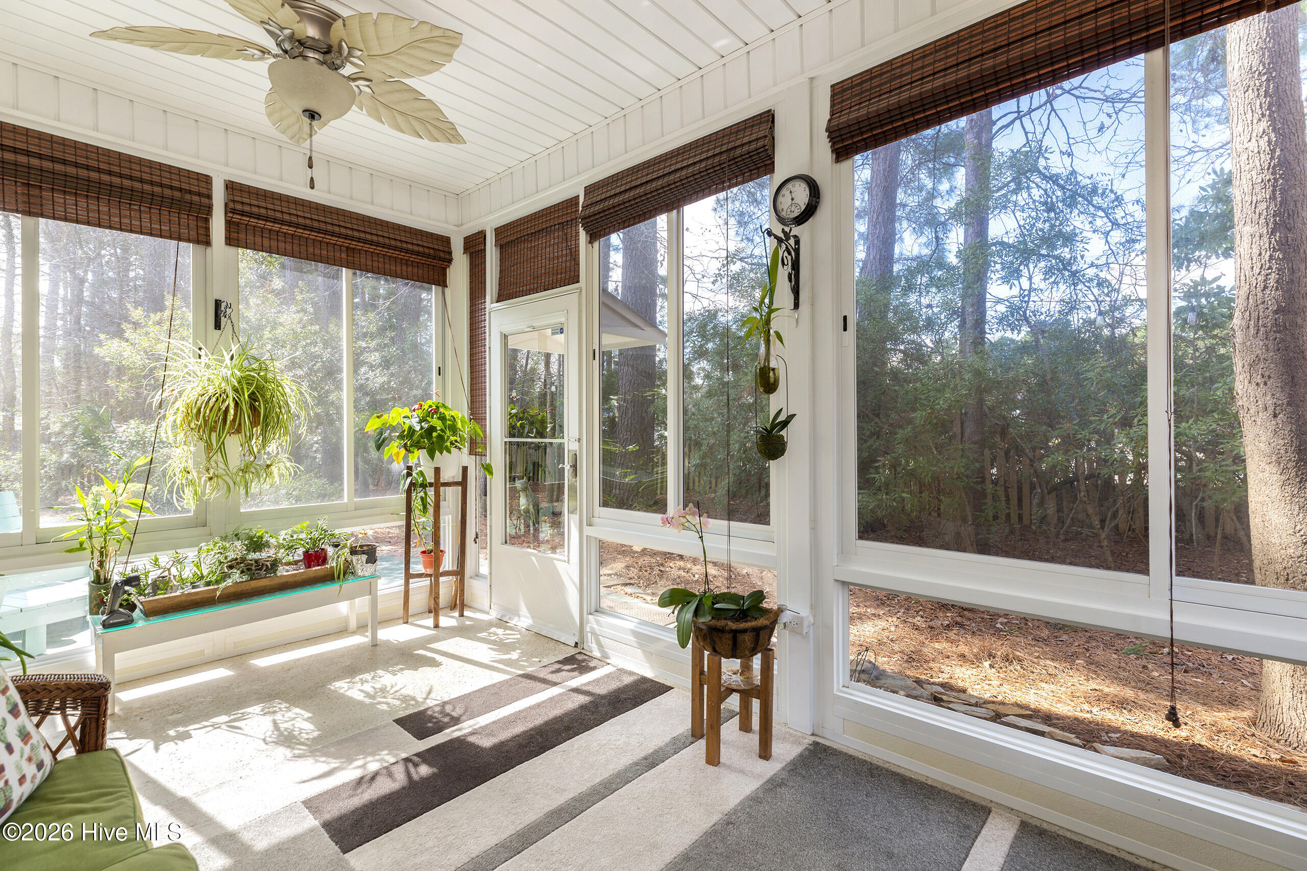 100558971 | Photo 23