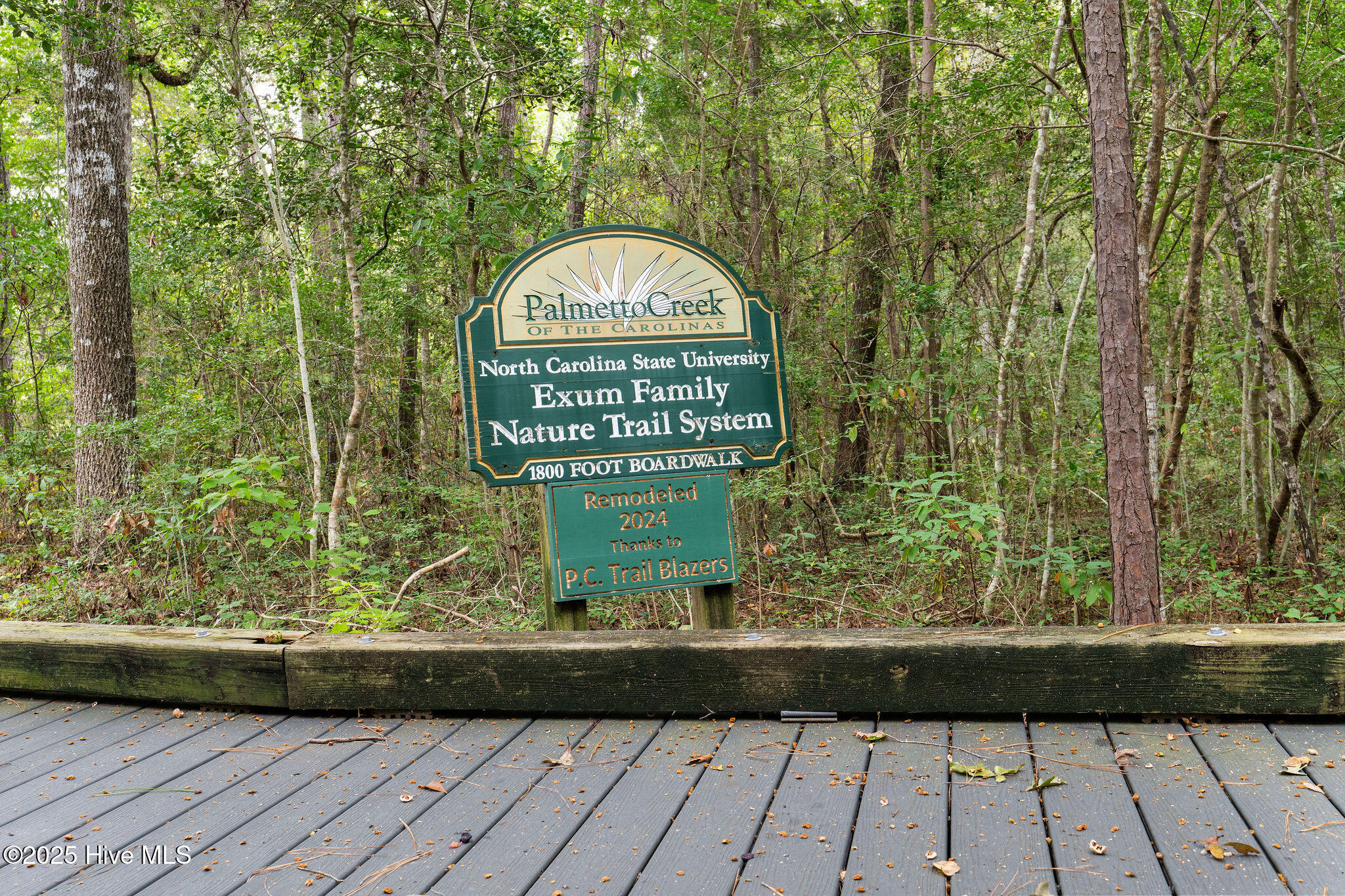 100531104 | Photo 57