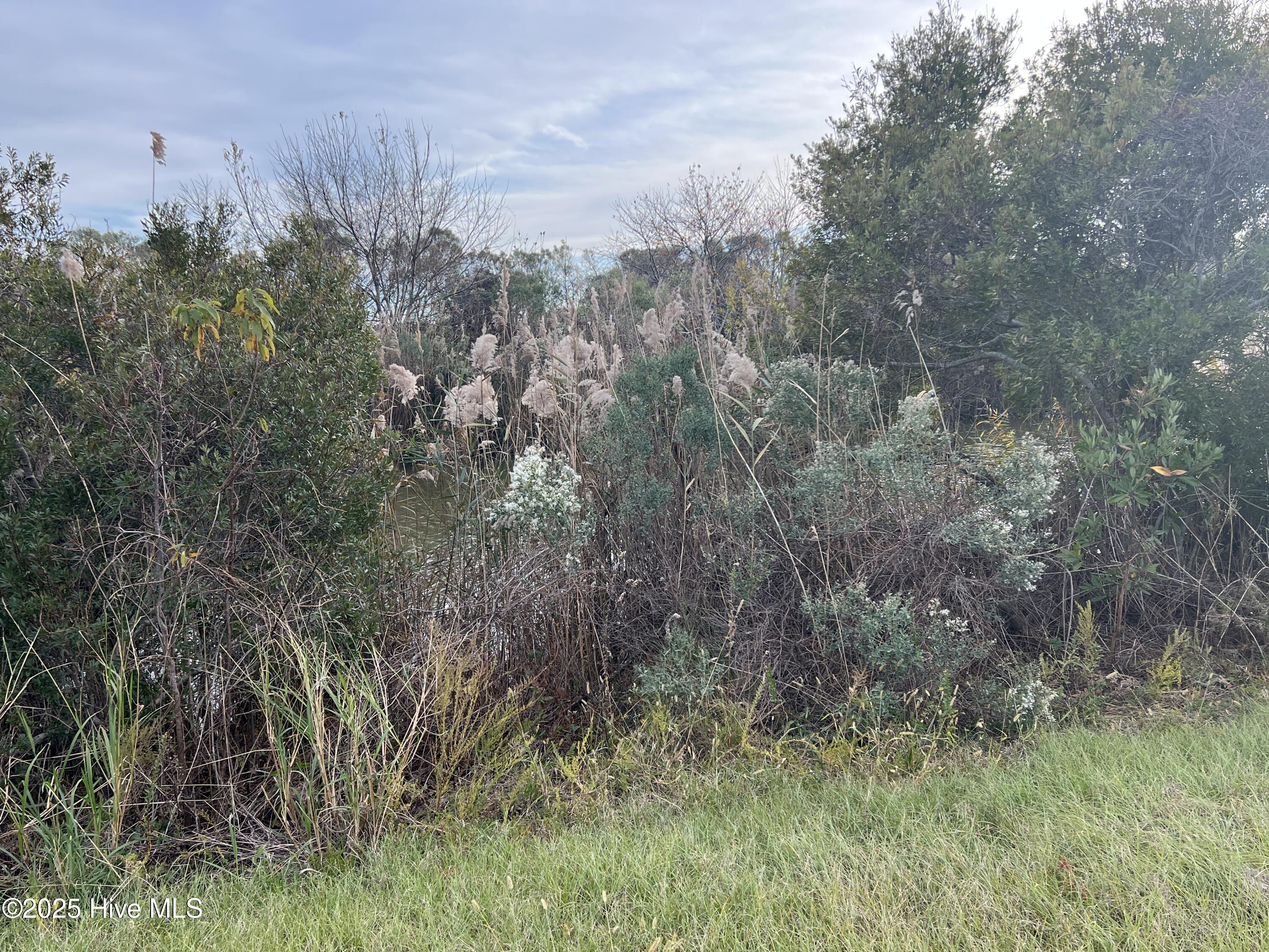 Lot 201 Lot 201 Sandpiper Drive, Hertford, NC, 27944