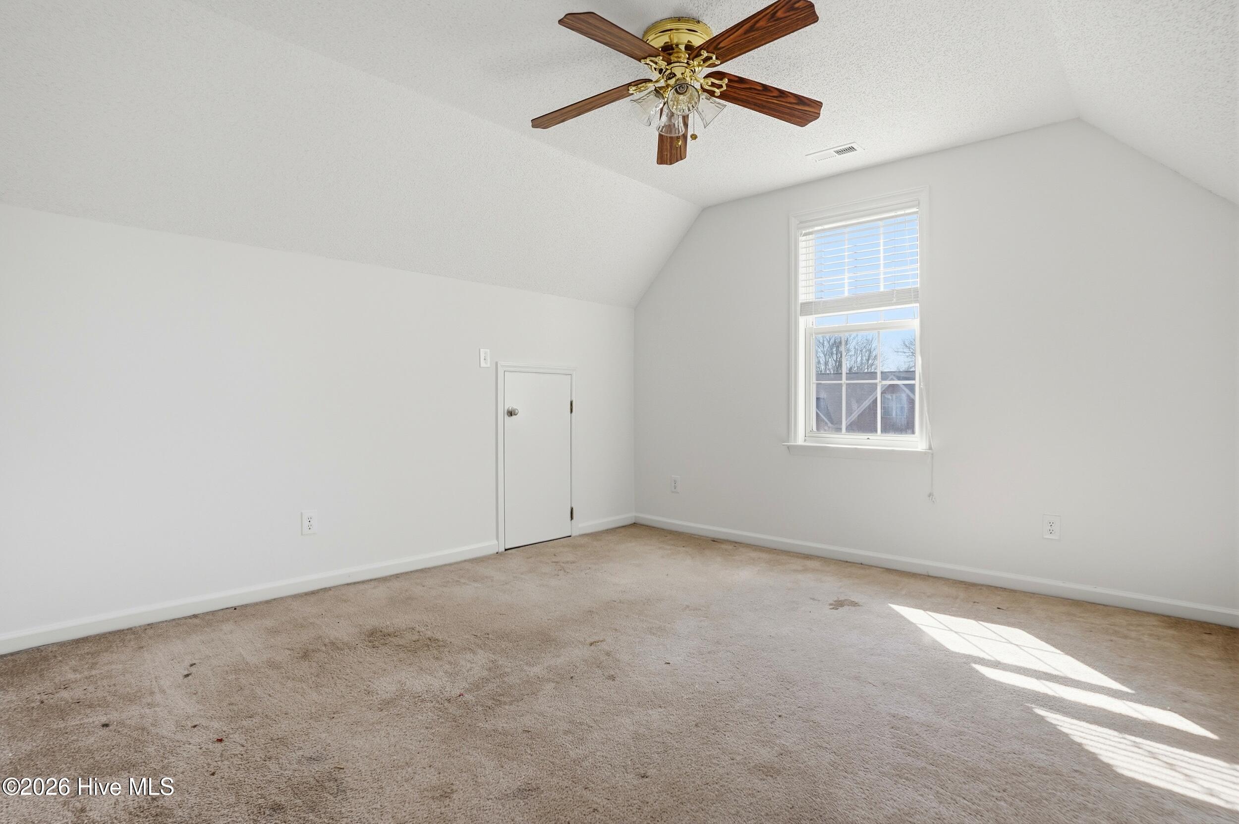 100553859 | Photo 28