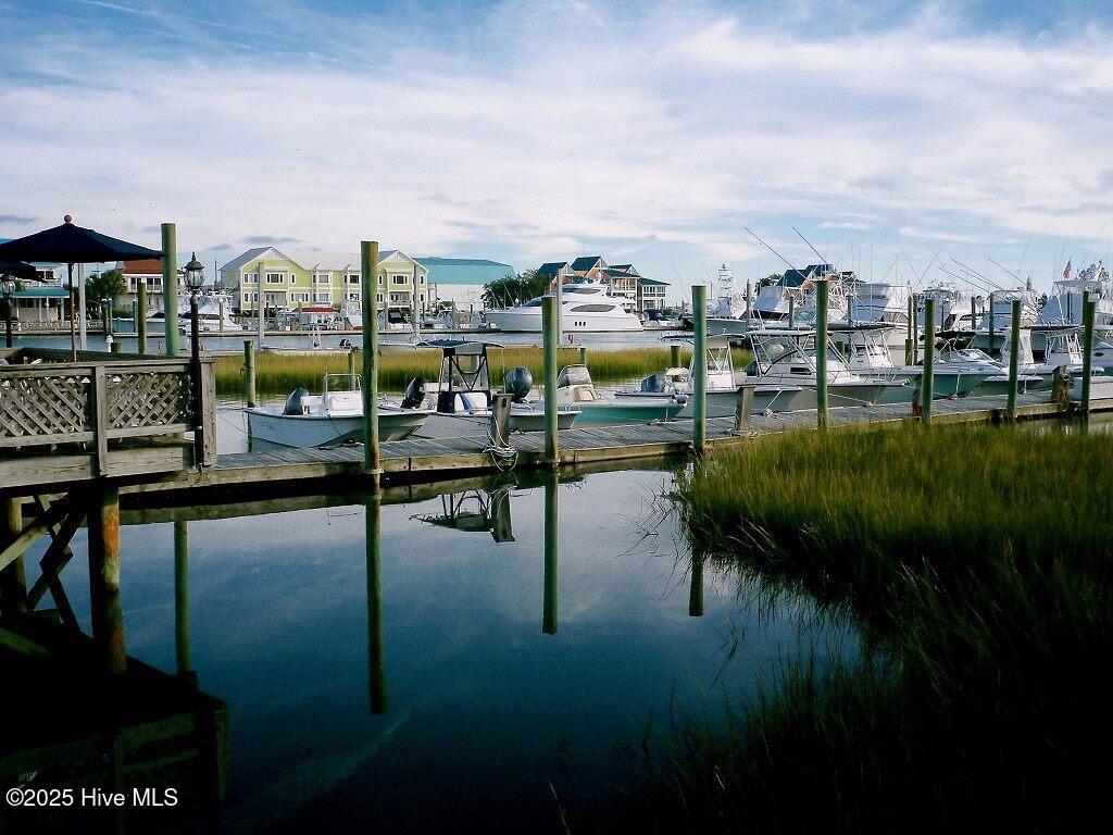 100529363 | Photo 40