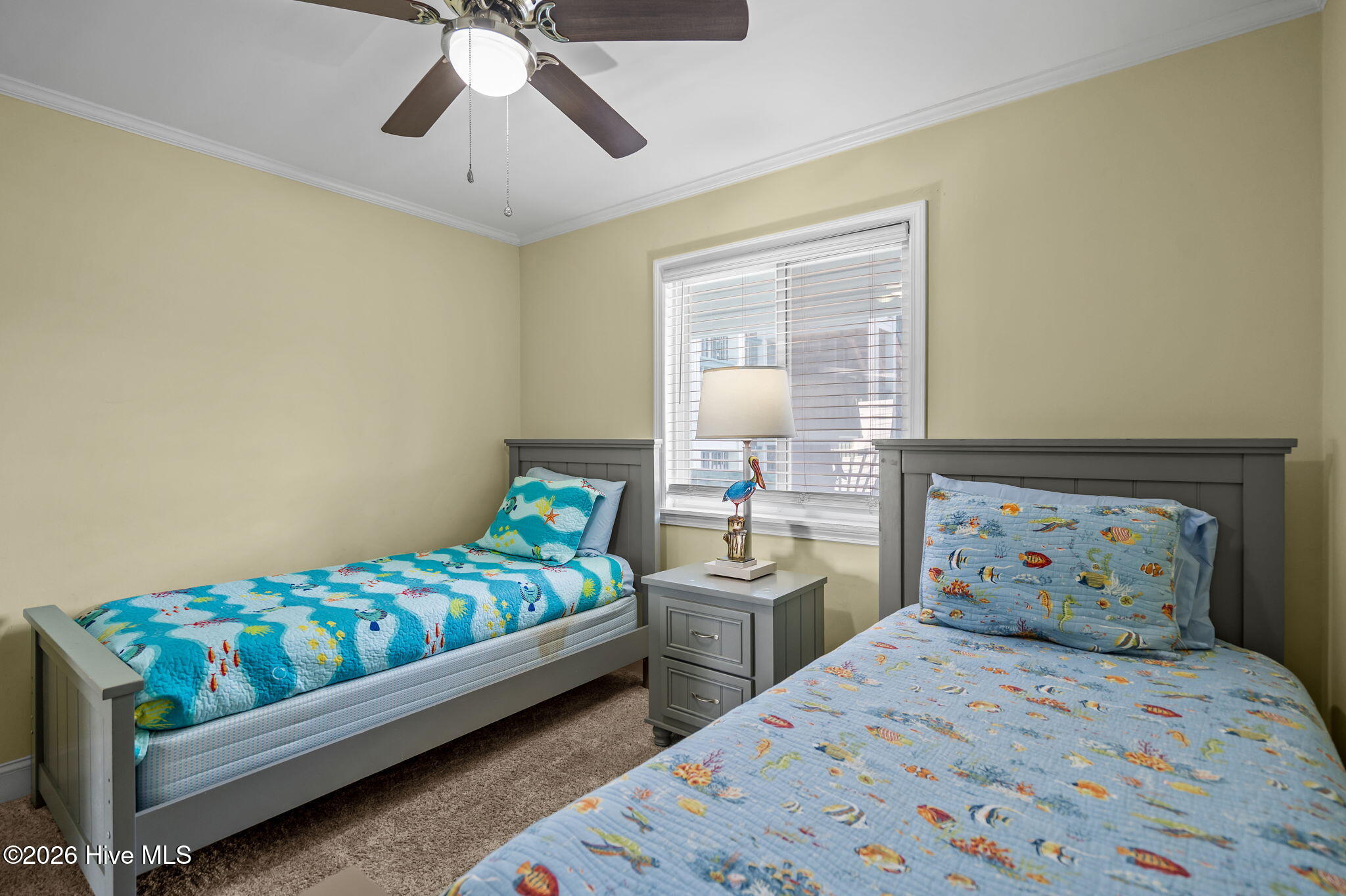 100556842 | Photo 22