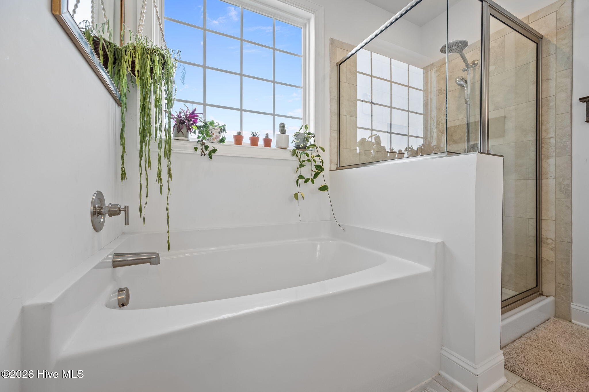 100566111 | Photo 25