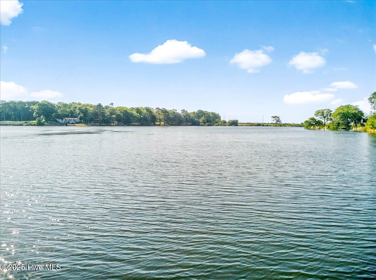 100507999 | Photo 10