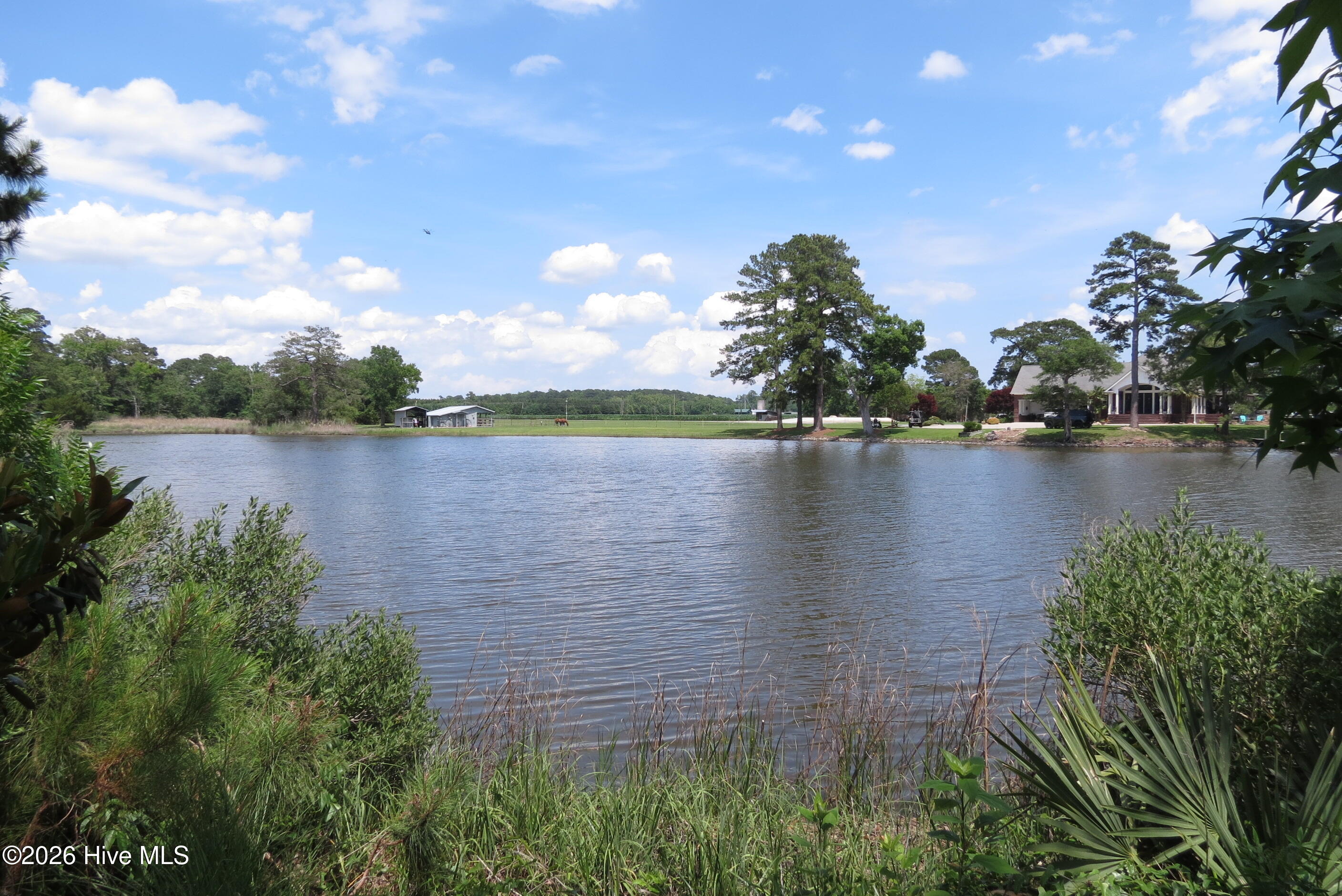 368 Winding Creek Drive,Oriental