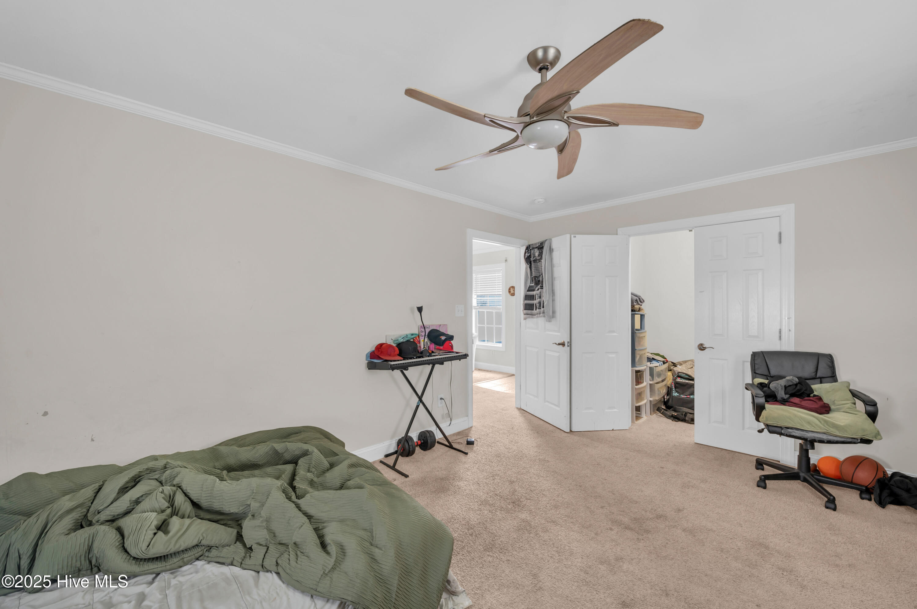 100542884 | Photo 12