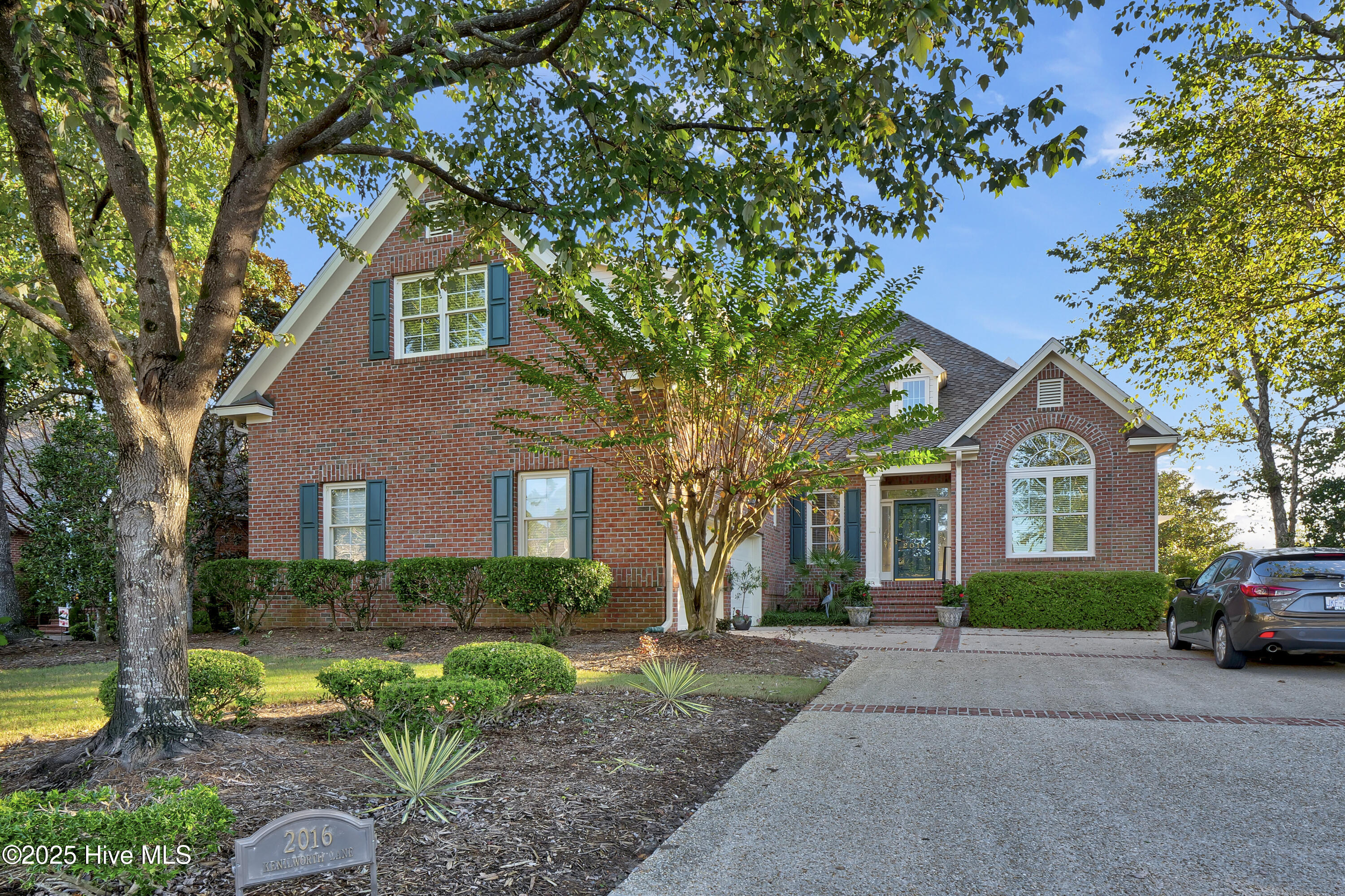 100535642 | Photo 56