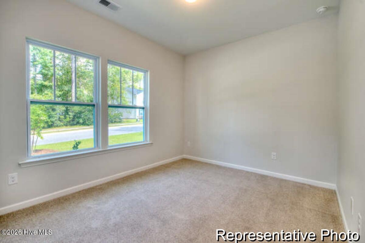 100555461 | Photo 19