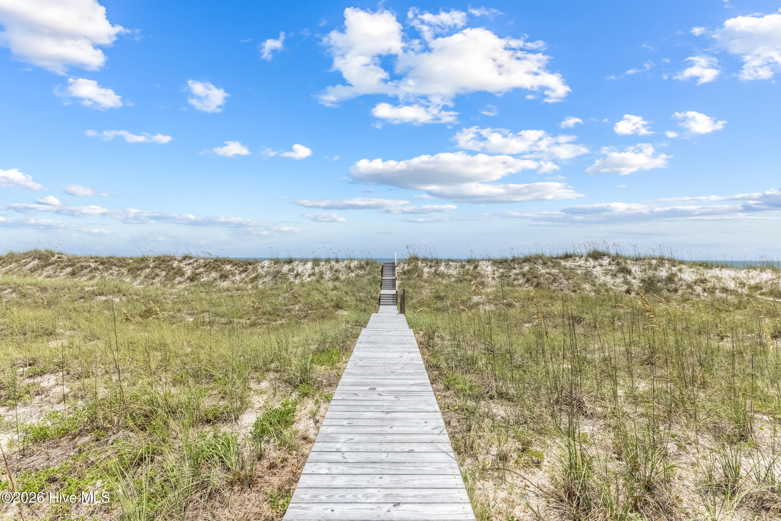 100560711 | Photo 85