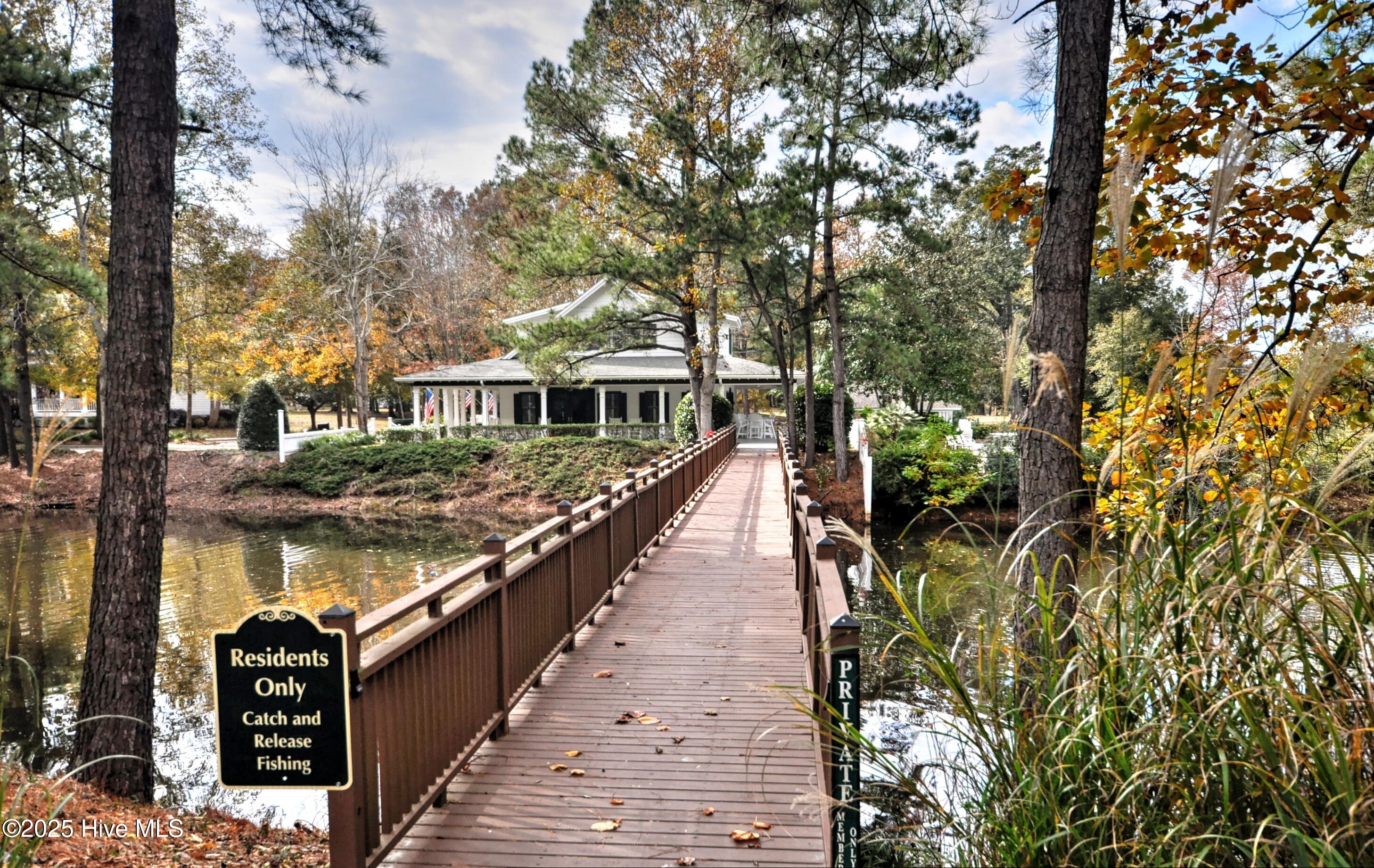 100535585 | Photo 61