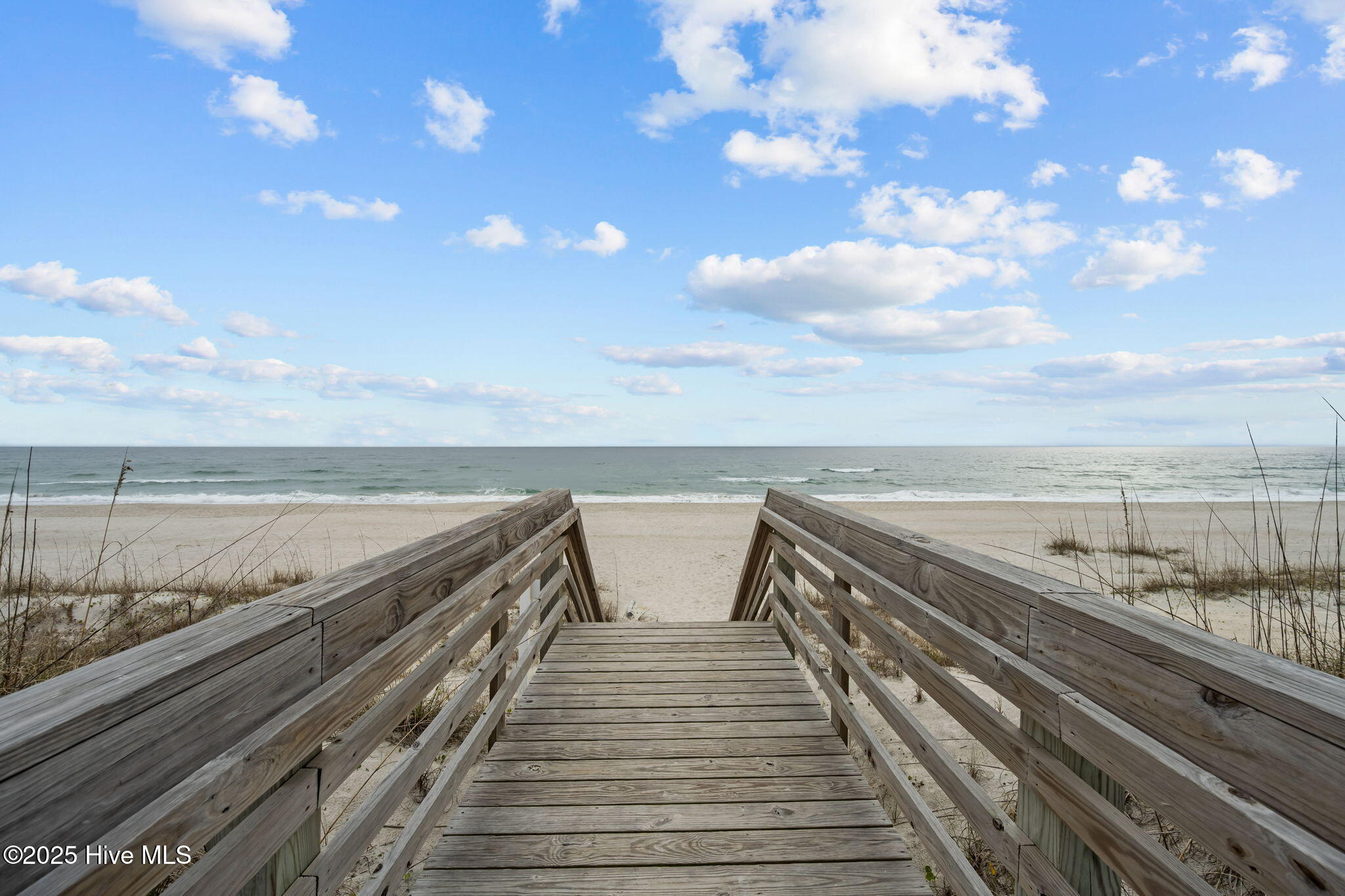 100543608 | Photo 41