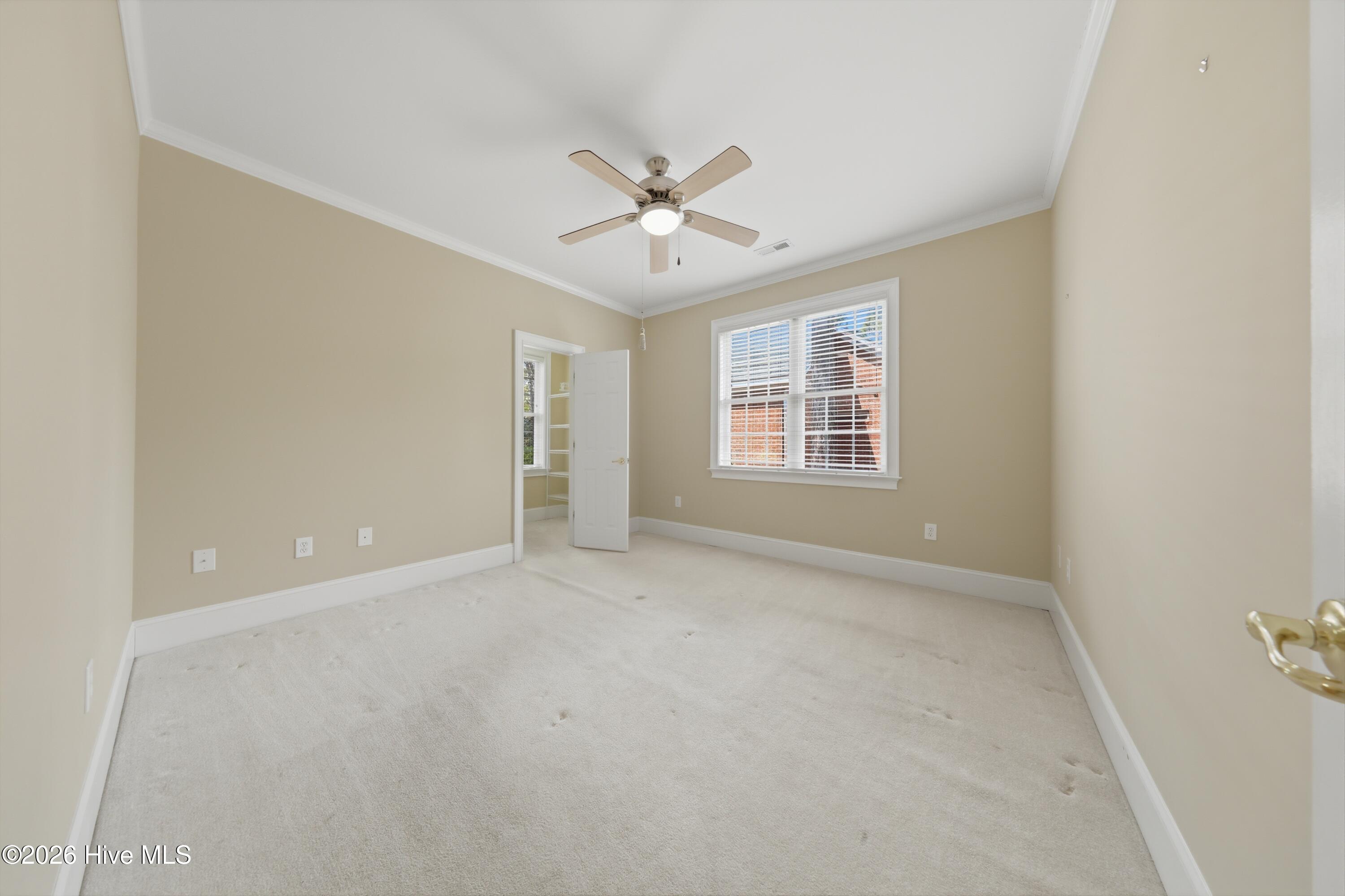 100564679 | Photo 52