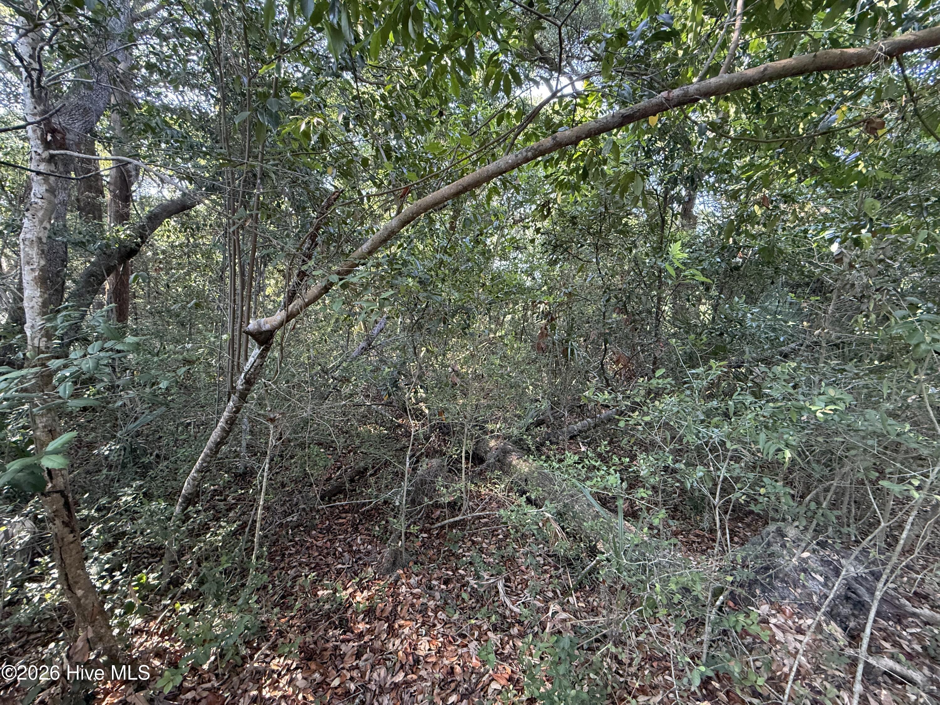 100581428 | Photo 2