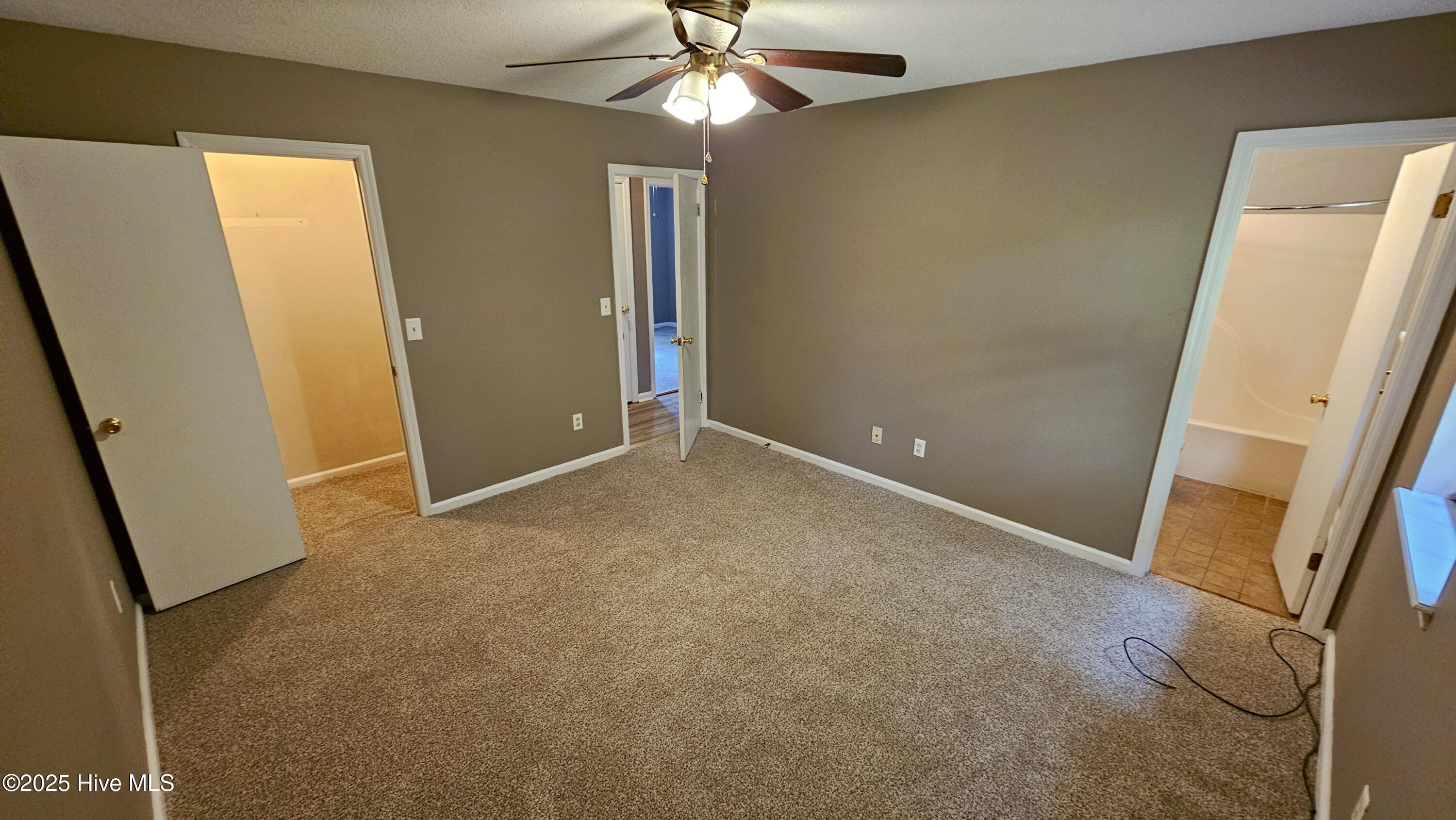 100529154 | Photo 11