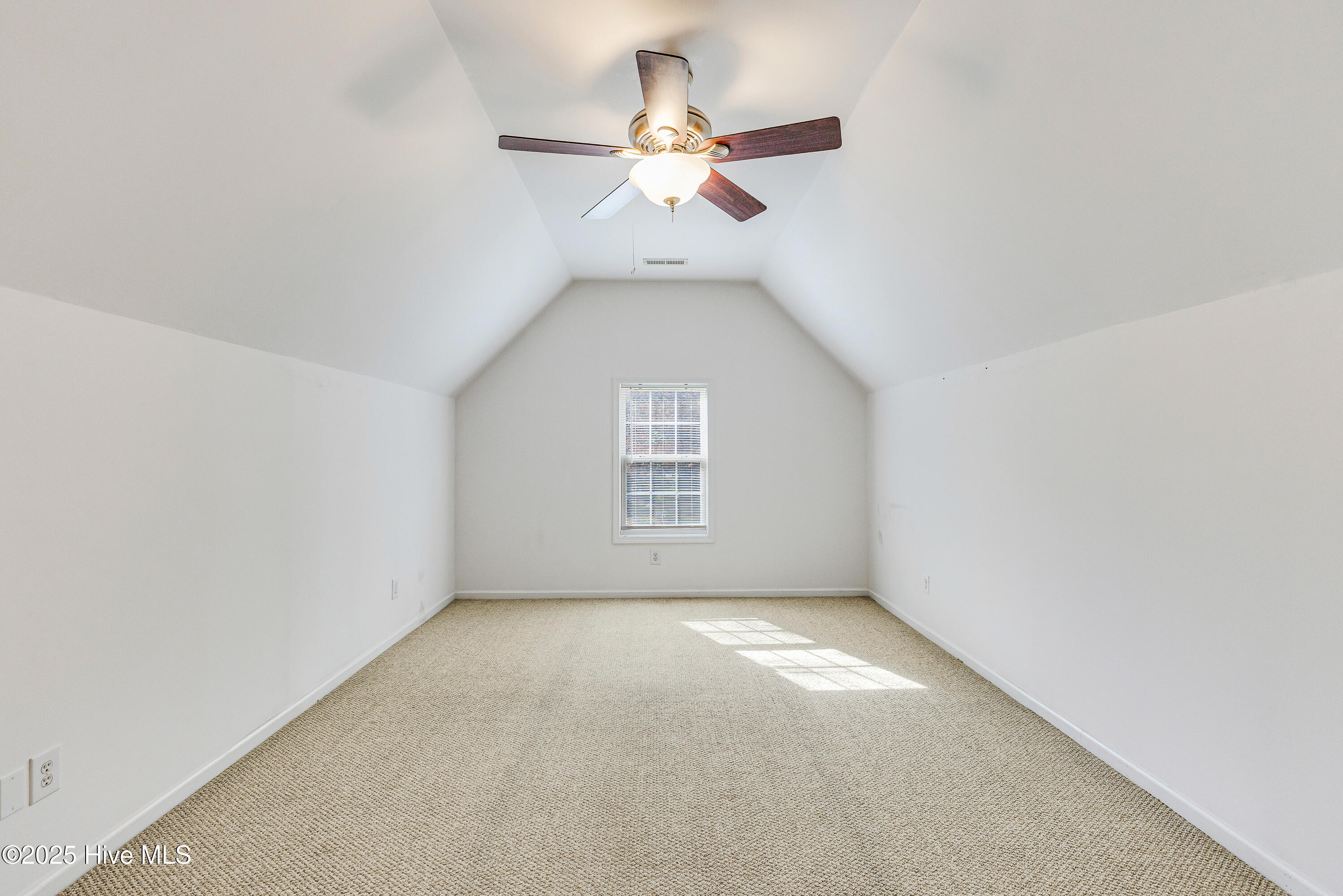 100540524 | Photo 21