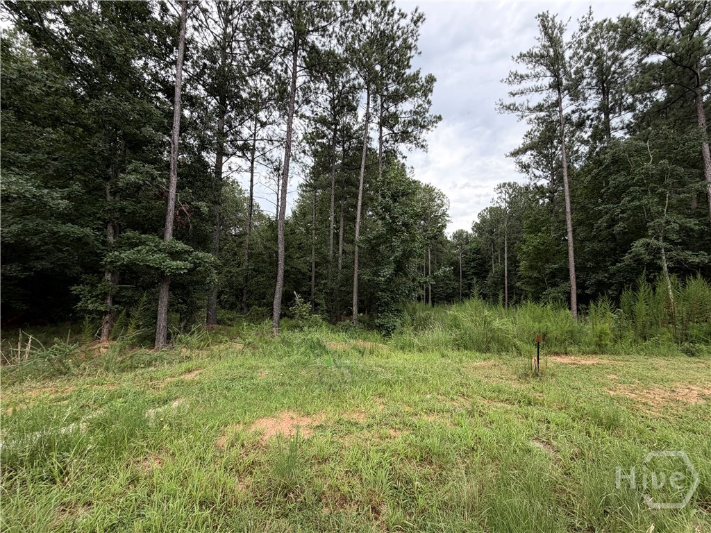 Property at 0 Spratlin Court