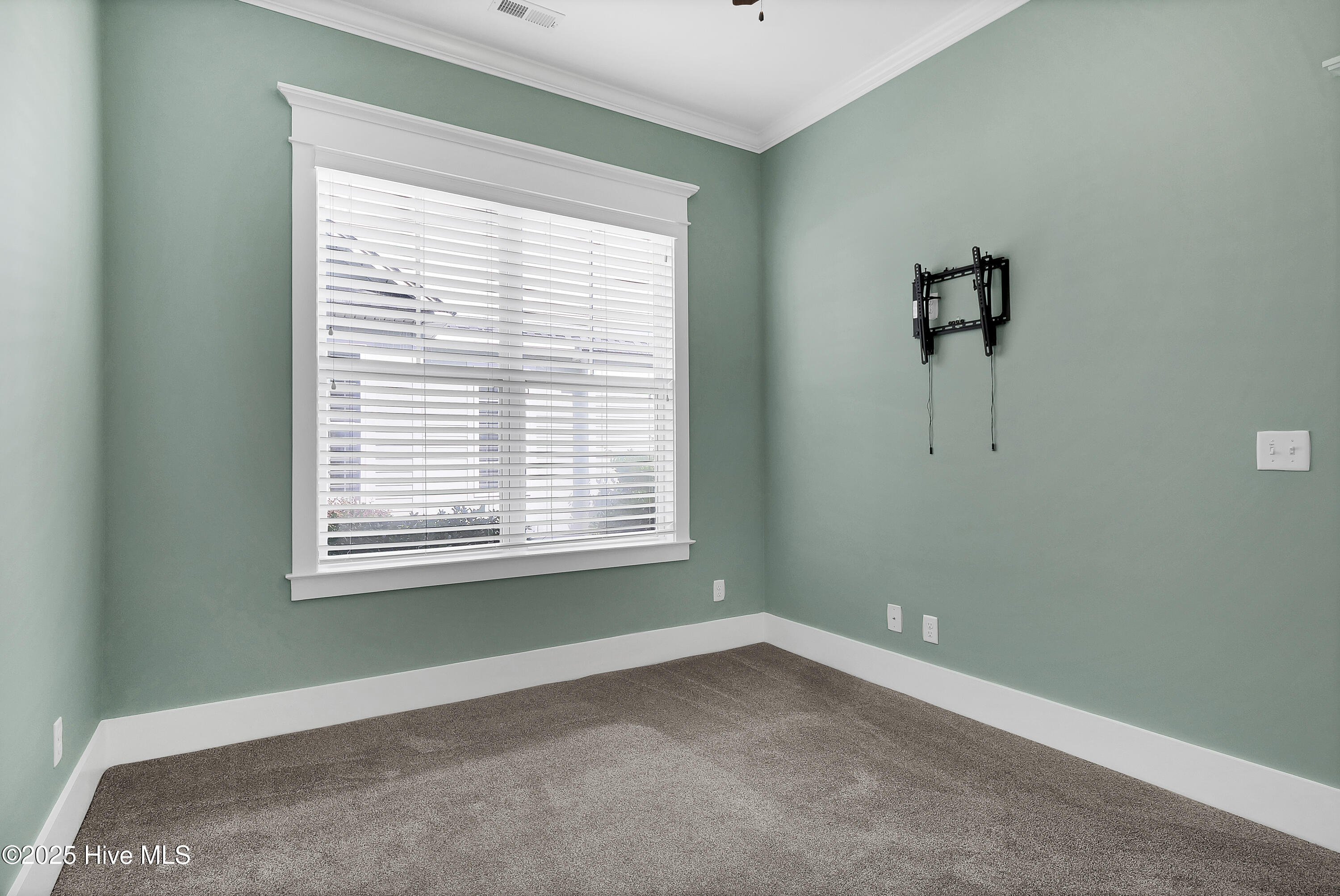 100537444 | Photo 13