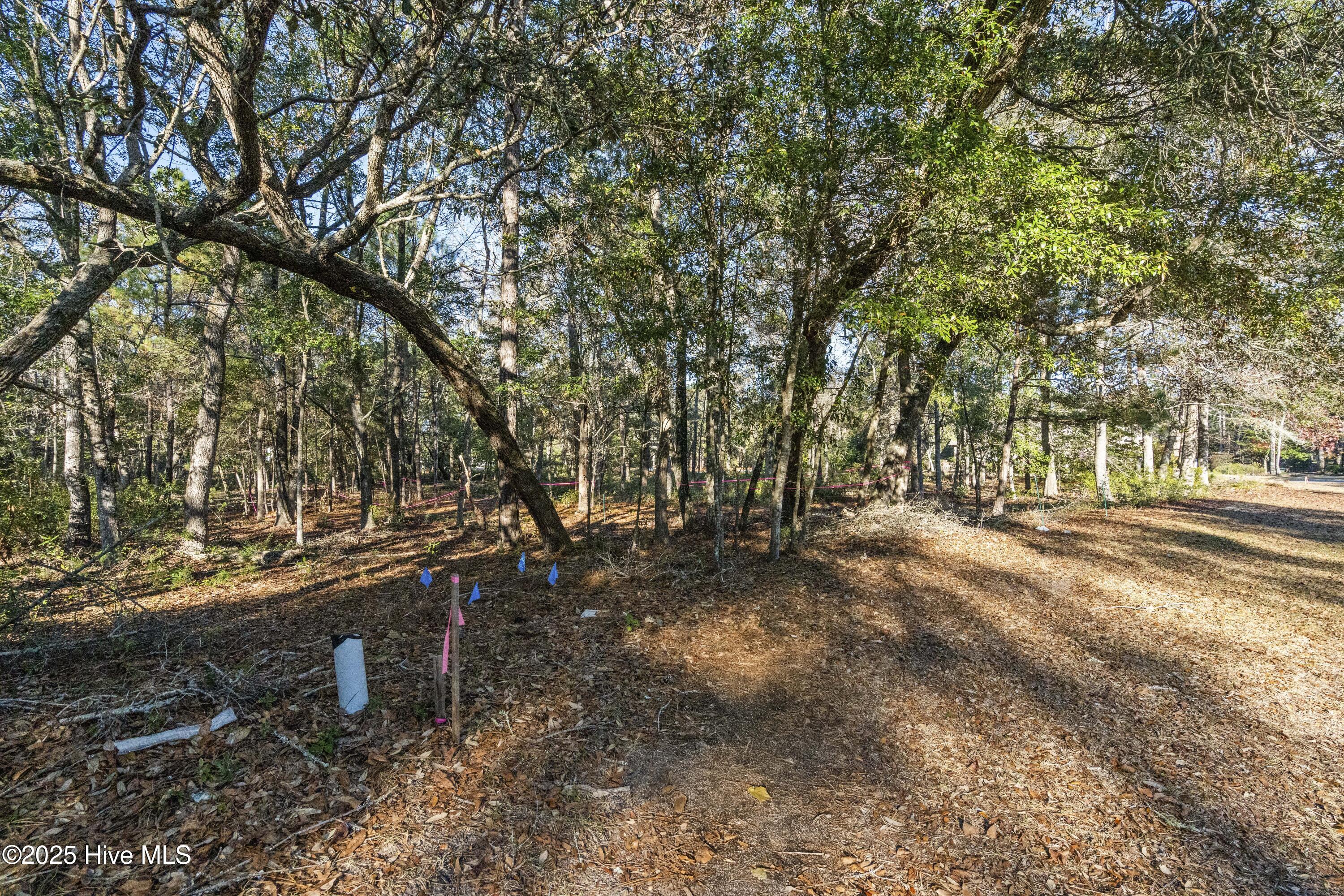 100545327 | Photo 10