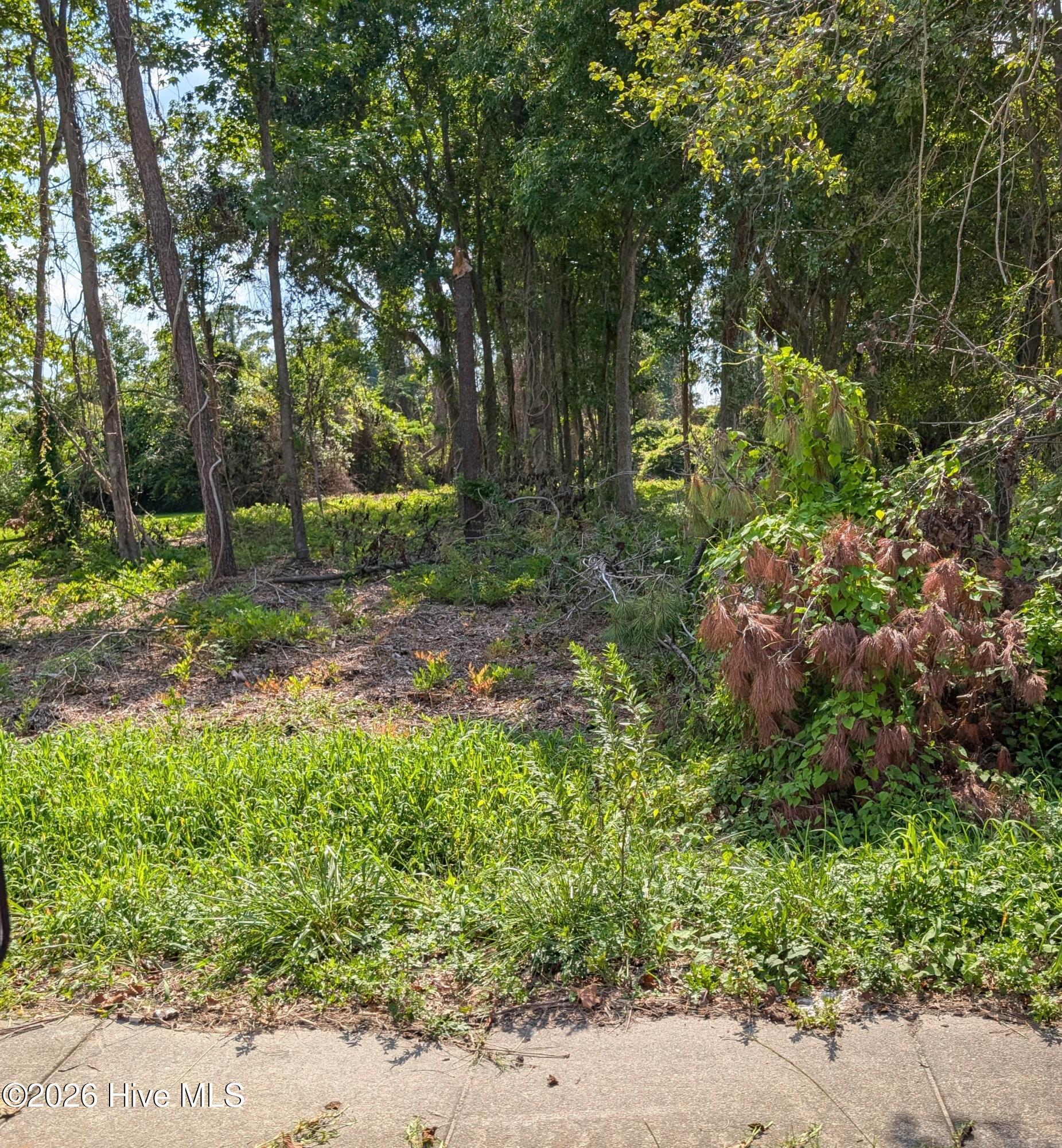 852 Bell Fork Road,Jacksonville